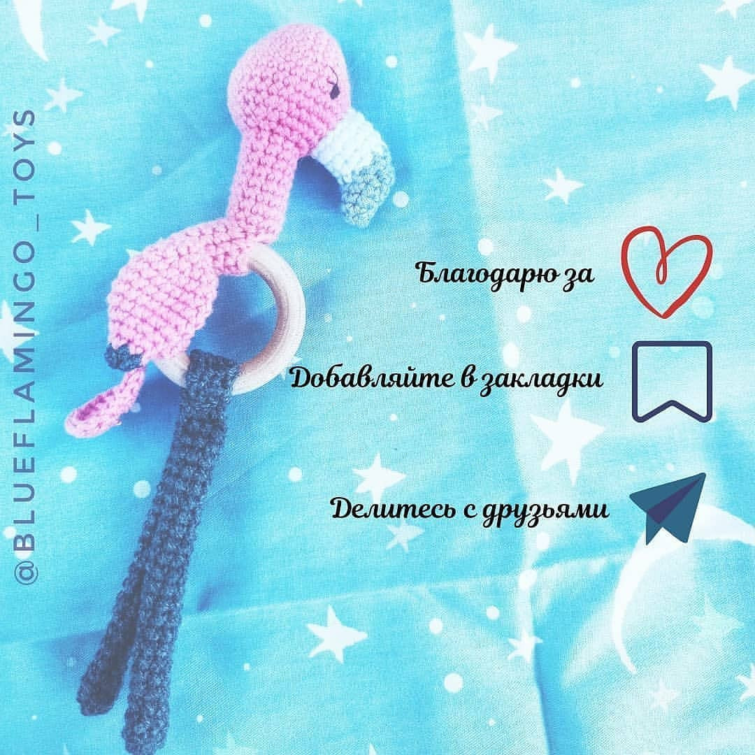 Описание грызуна Фламинго