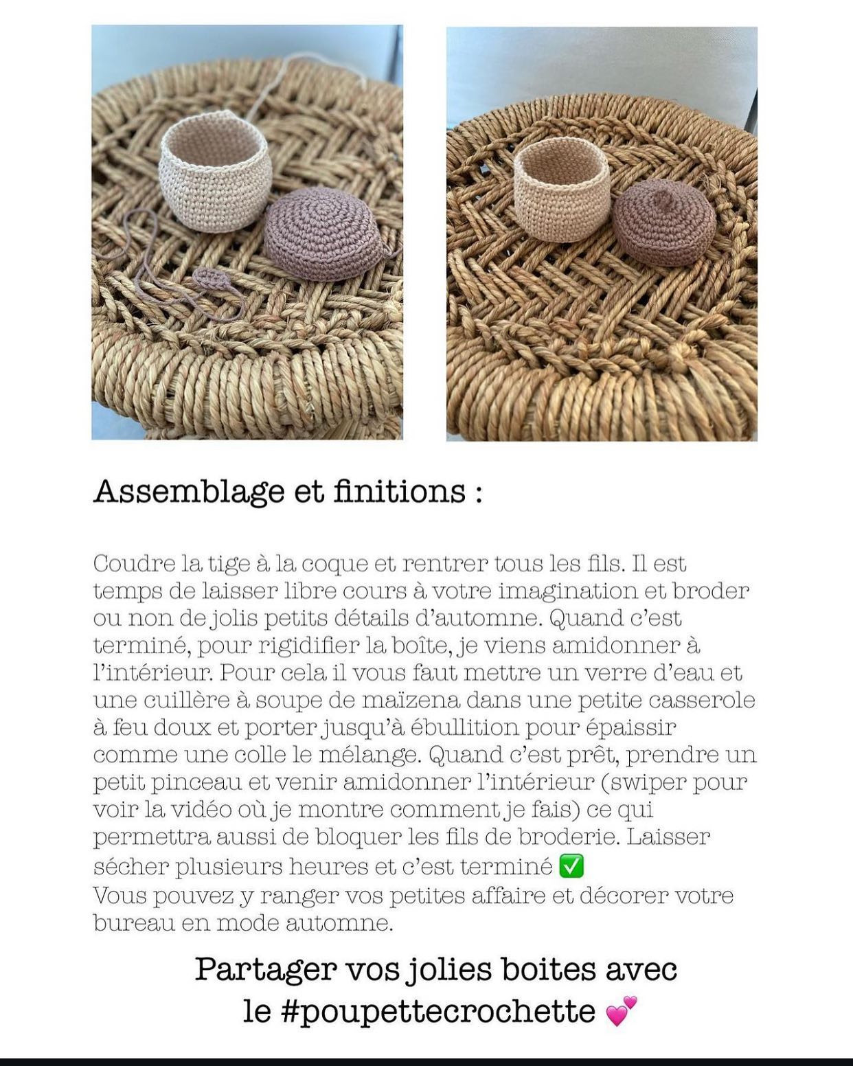 Petits Paniers au Crochet avec Motifs de Champignons