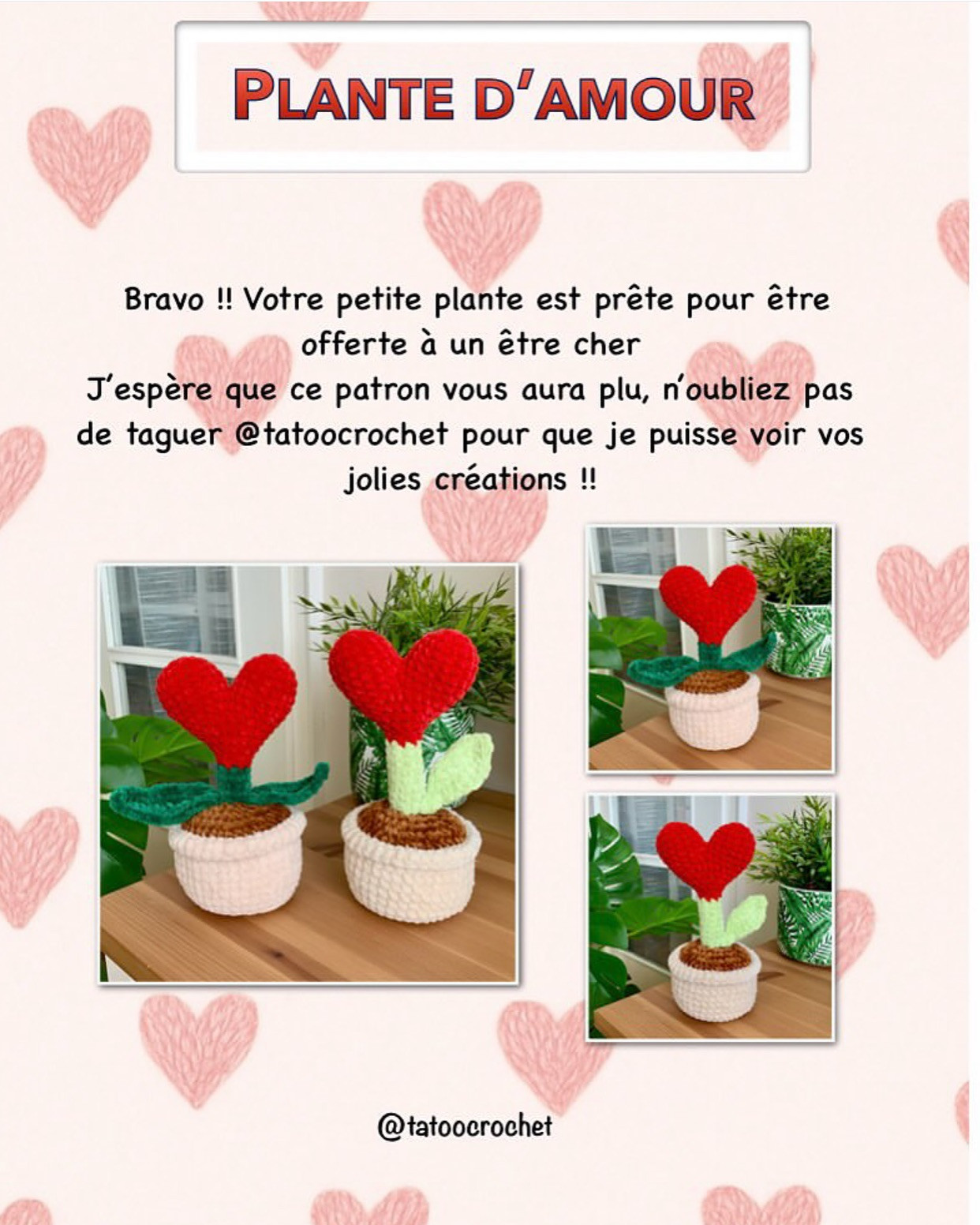 Plante d'amour au crochet - Patron gratuit disponible
