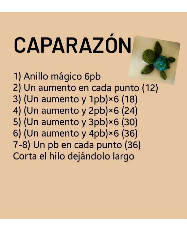 Tortugas Amigurumi: Patrón Gratis para Principiantes