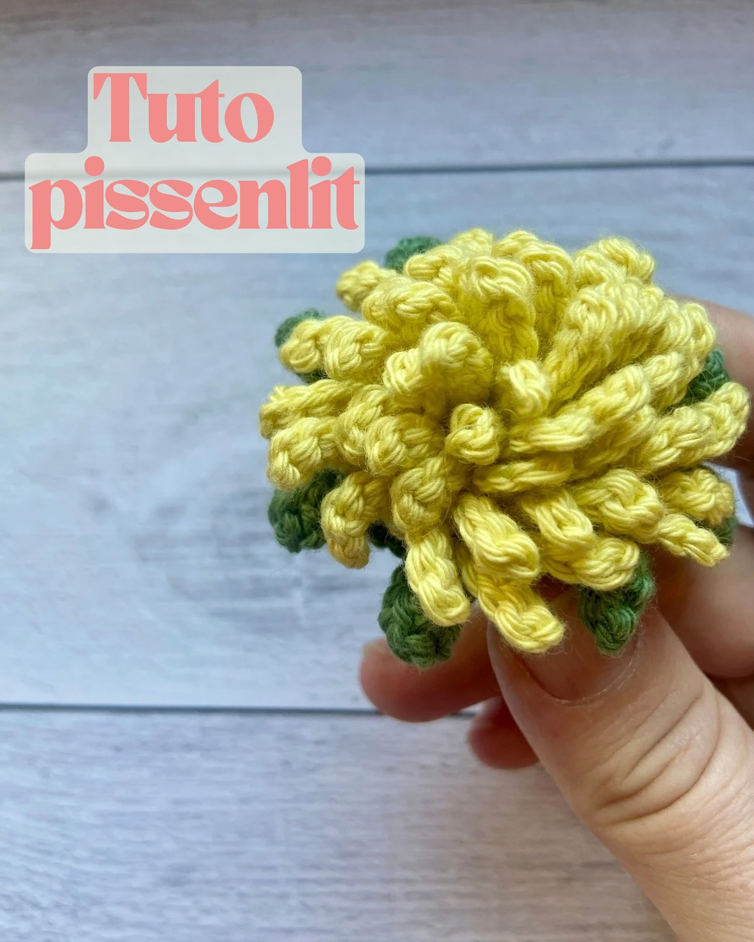 Tutoriel Crochet Fleur de Pissenlit Facile pour Débutants
