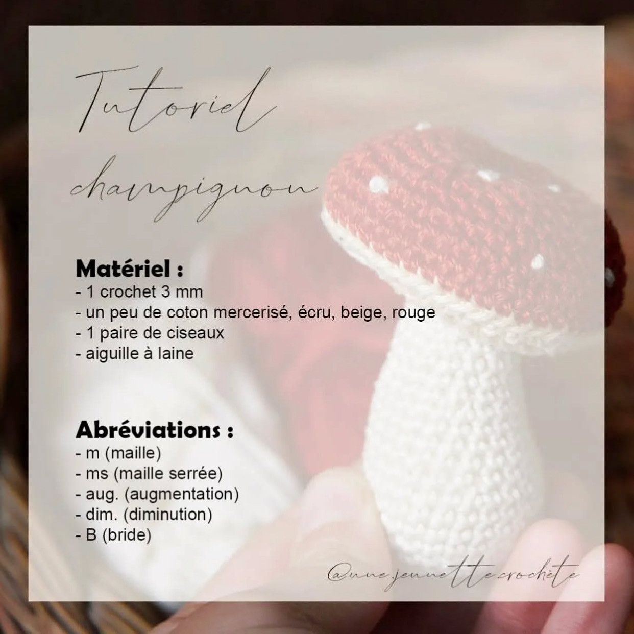 Tutoriel gratuit pour crocheter un champignon mignon et facile.