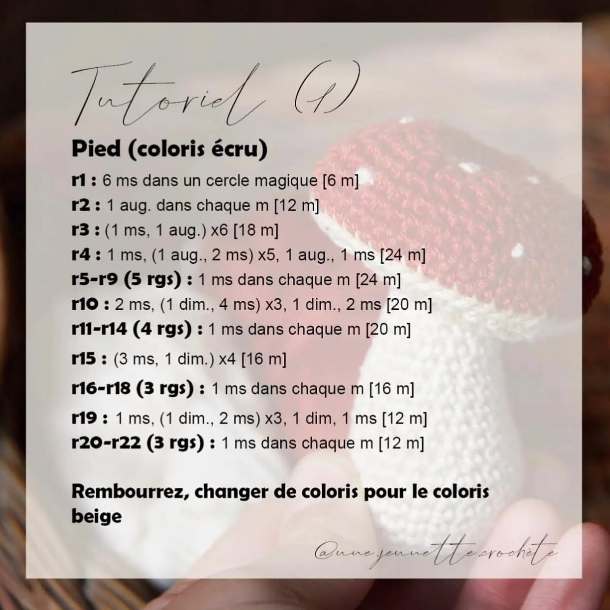 Tutoriel gratuit pour crocheter un champignon mignon et facile.
