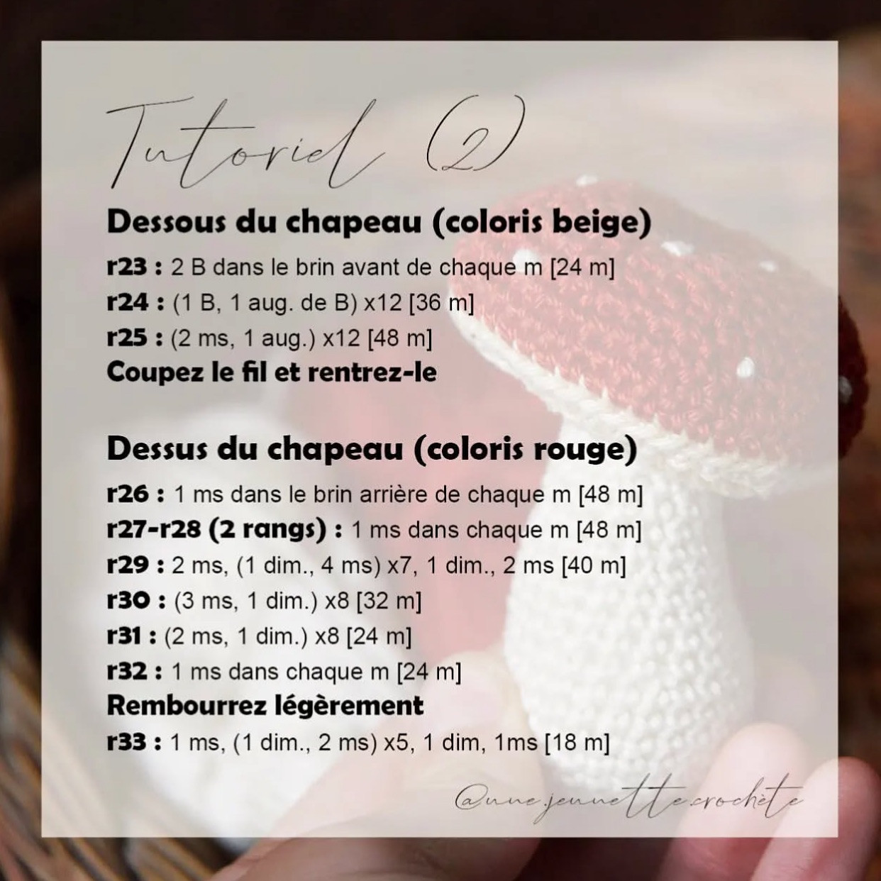 Tutoriel gratuit pour crocheter un champignon mignon et facile.