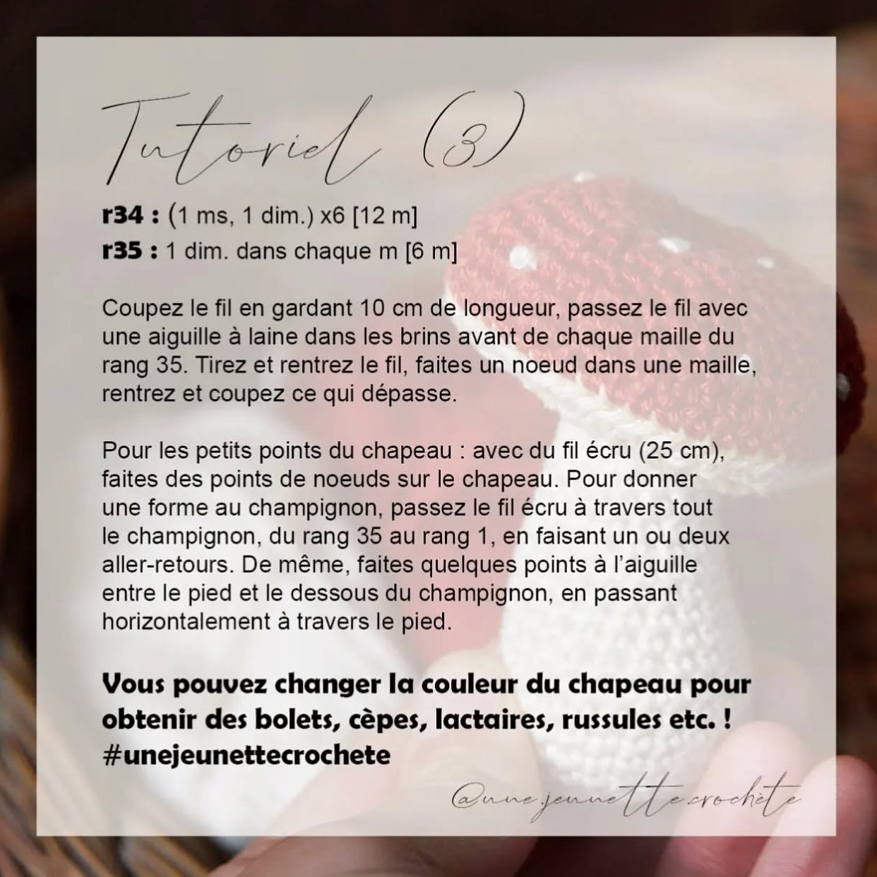 Tutoriel gratuit pour crocheter un champignon mignon et facile.