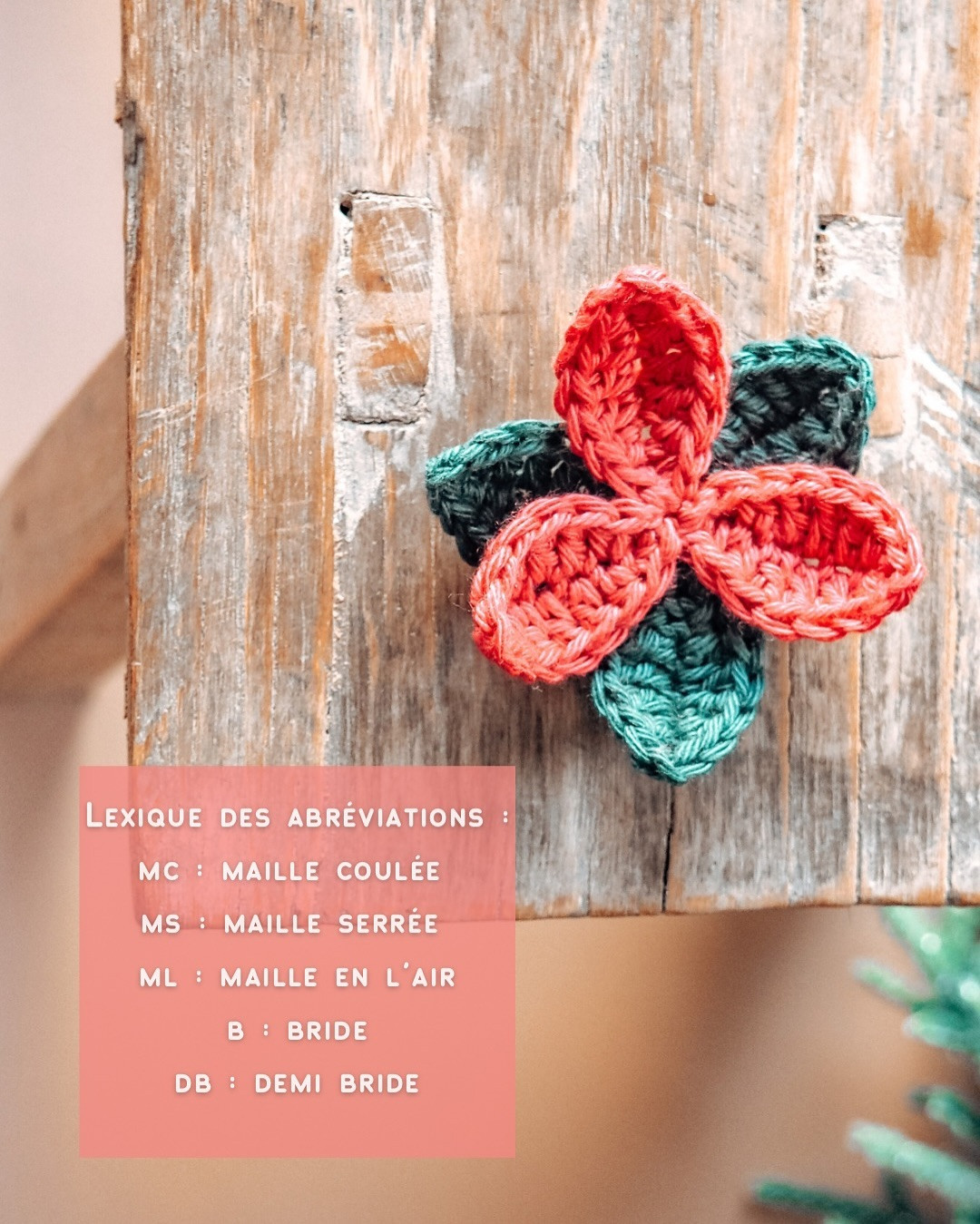 Tutoriel pour crocheter la fleur de Noël en laine