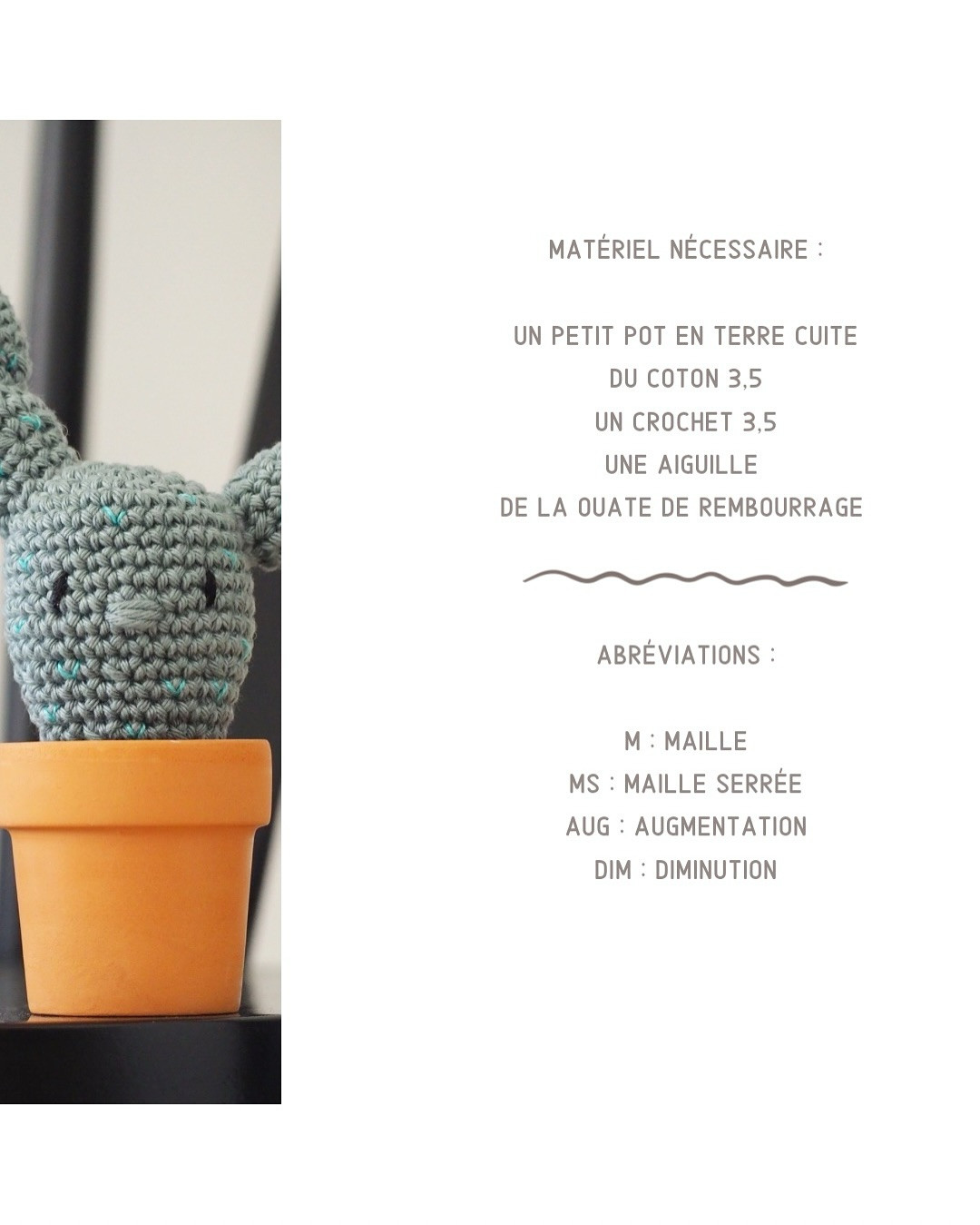 Tutoriel pour crocheter un cactus mignon en pot