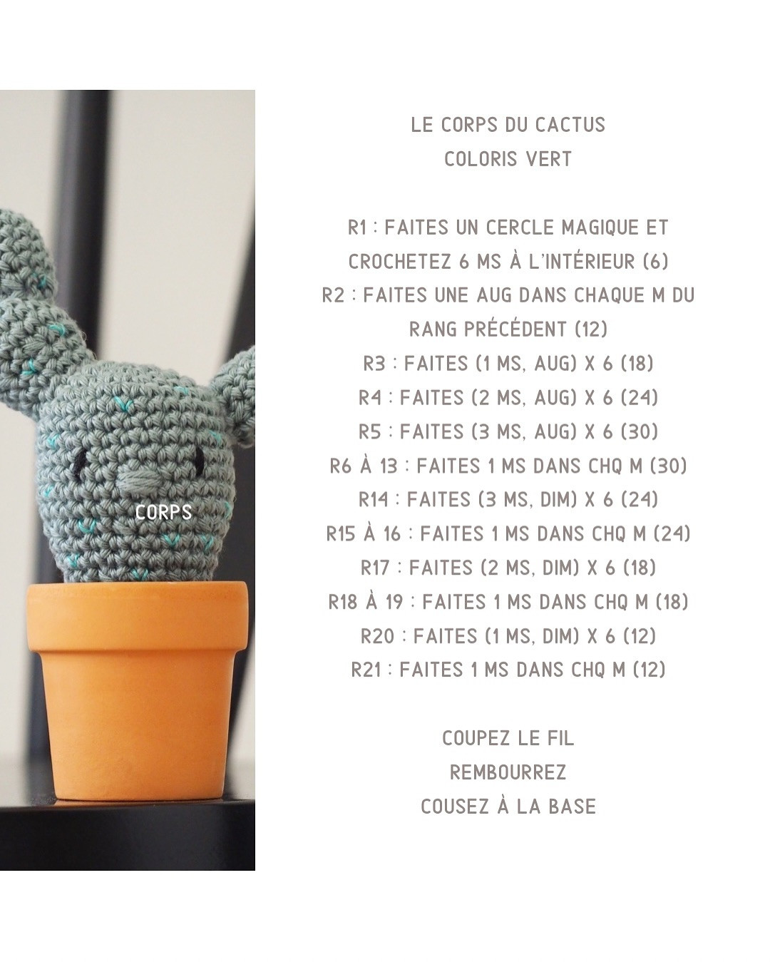 Tutoriel pour crocheter un cactus mignon en pot