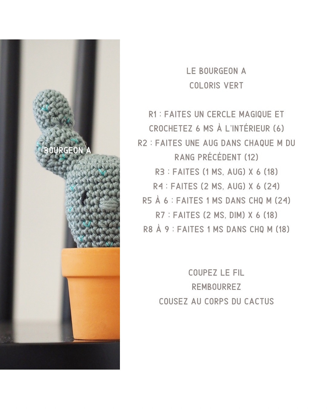 Tutoriel pour crocheter un cactus mignon en pot