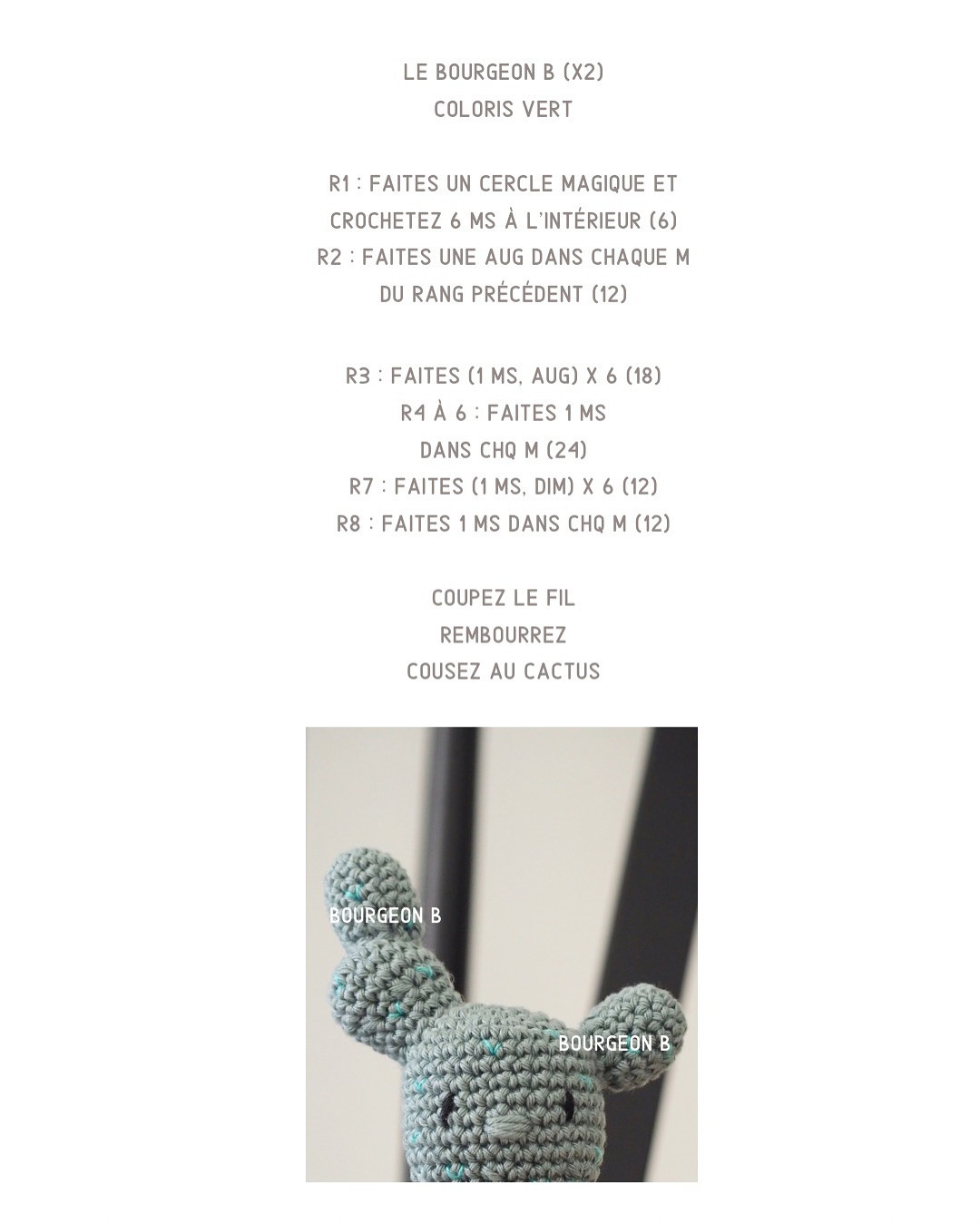 Tutoriel pour crocheter un cactus mignon en pot