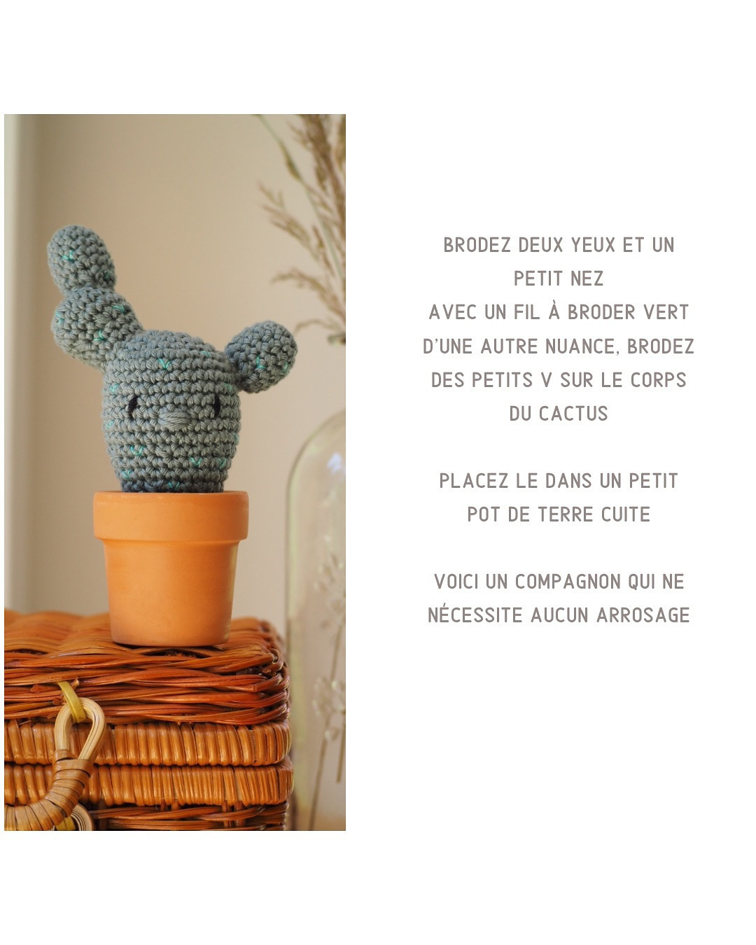 Tutoriel pour crocheter un cactus mignon en pot