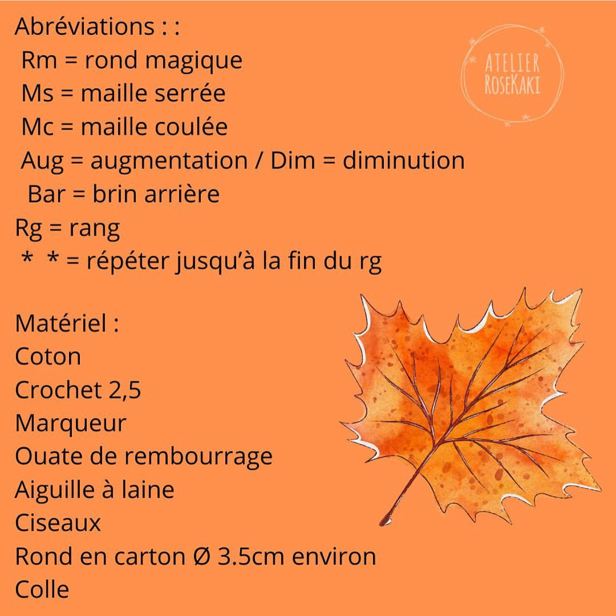 Vases en crochet colorés avec fleurs séchées - Patron gratuit