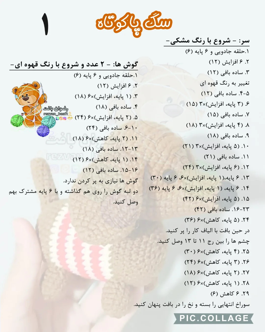 آموزش رایگان سگ پاکوتاه