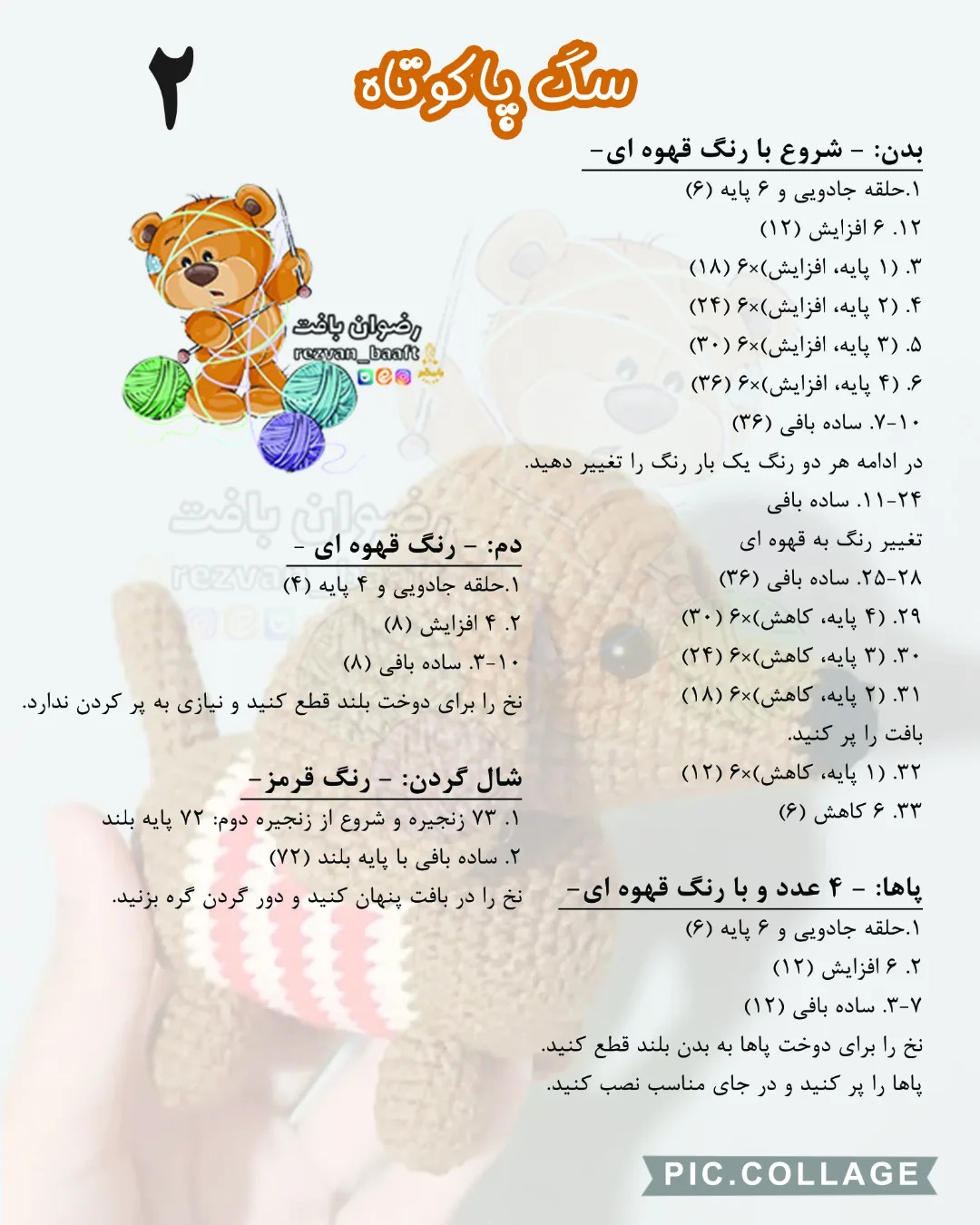 آموزش رایگان سگ پاکوتاه