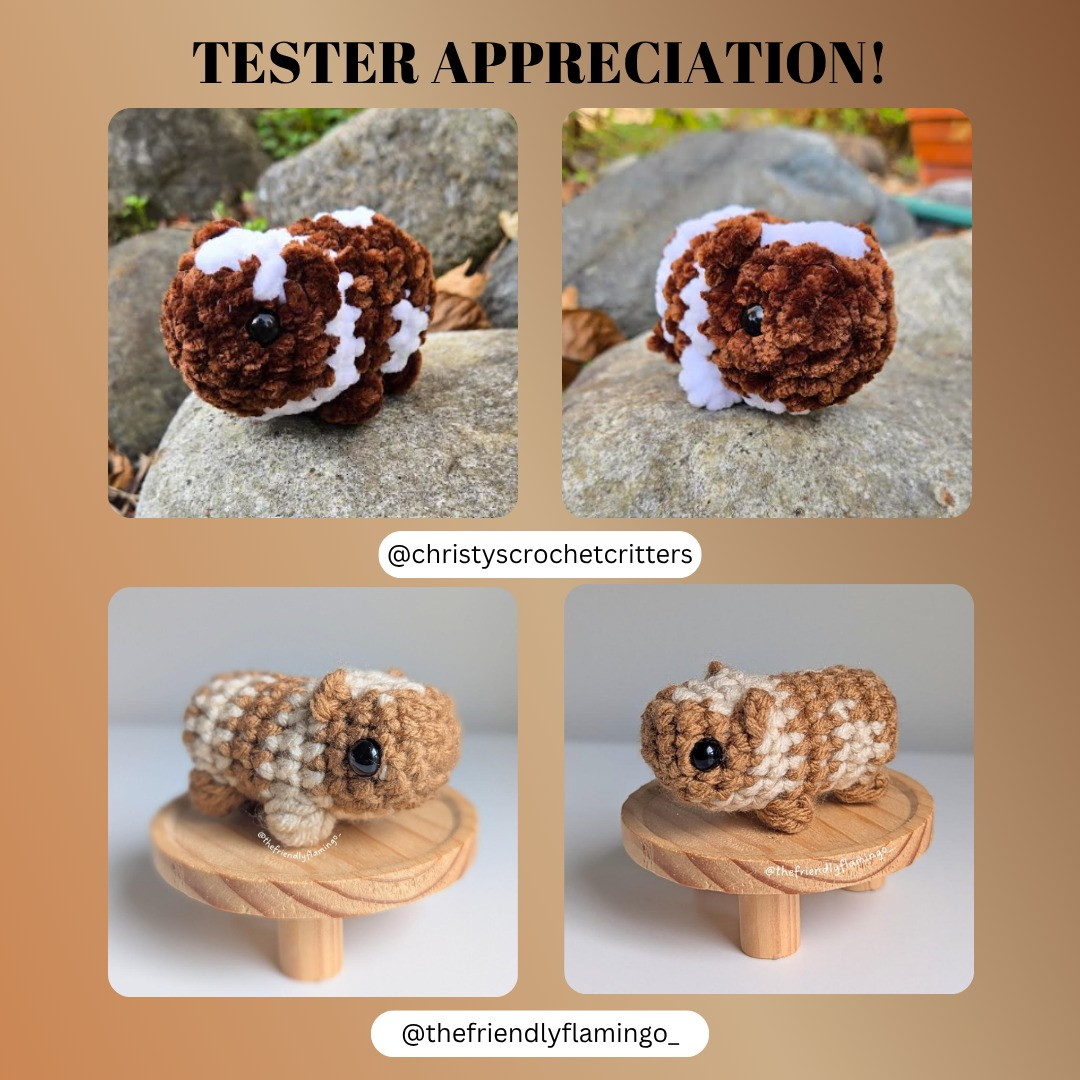 Adorable No-Sew Crochet Guinea Pig Pattern for Beginners