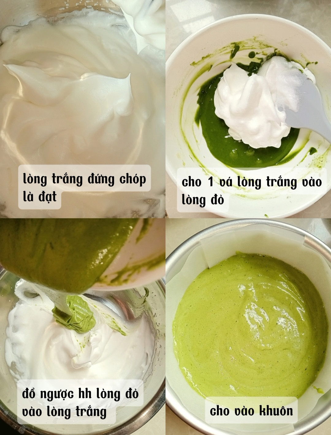 Bông lan Matcha