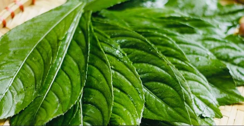 Chả lá xương sông – dân dã, mộc mạc mà ngon cơm hết nấc!