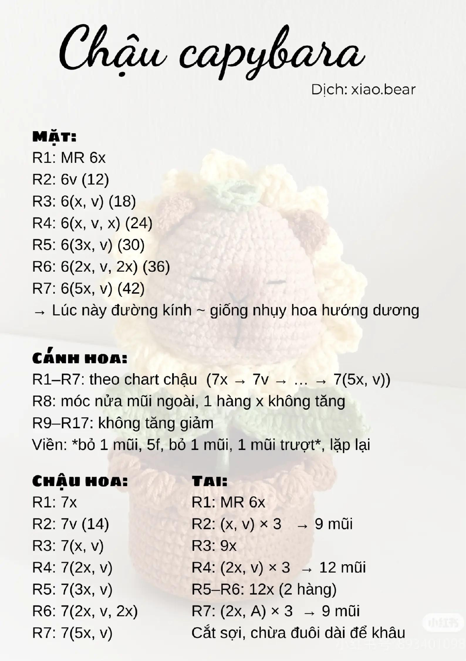 Chart Móc Len Chậu Cây Dễ Thương Hình Capybara