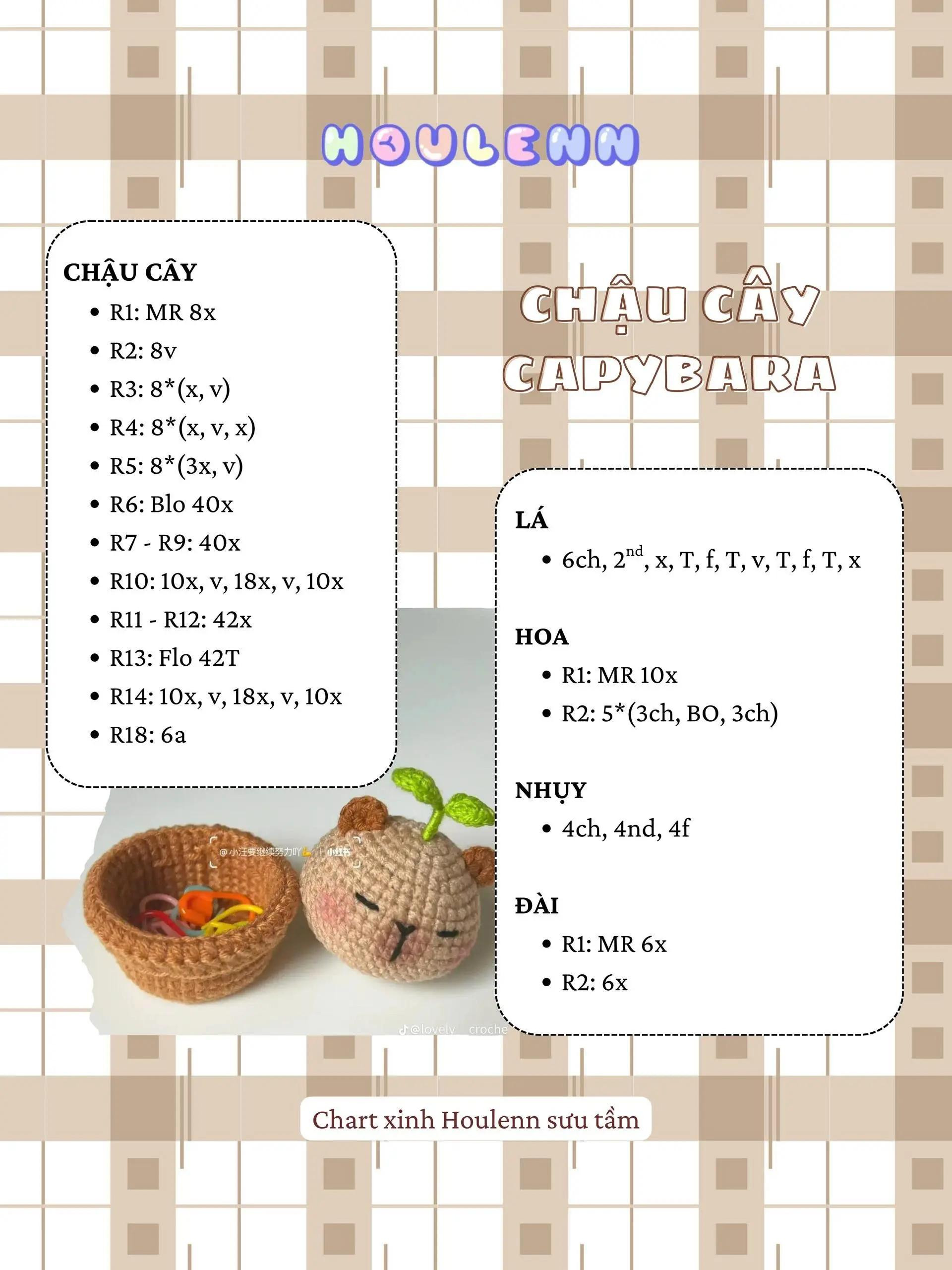 chậu cây capybara