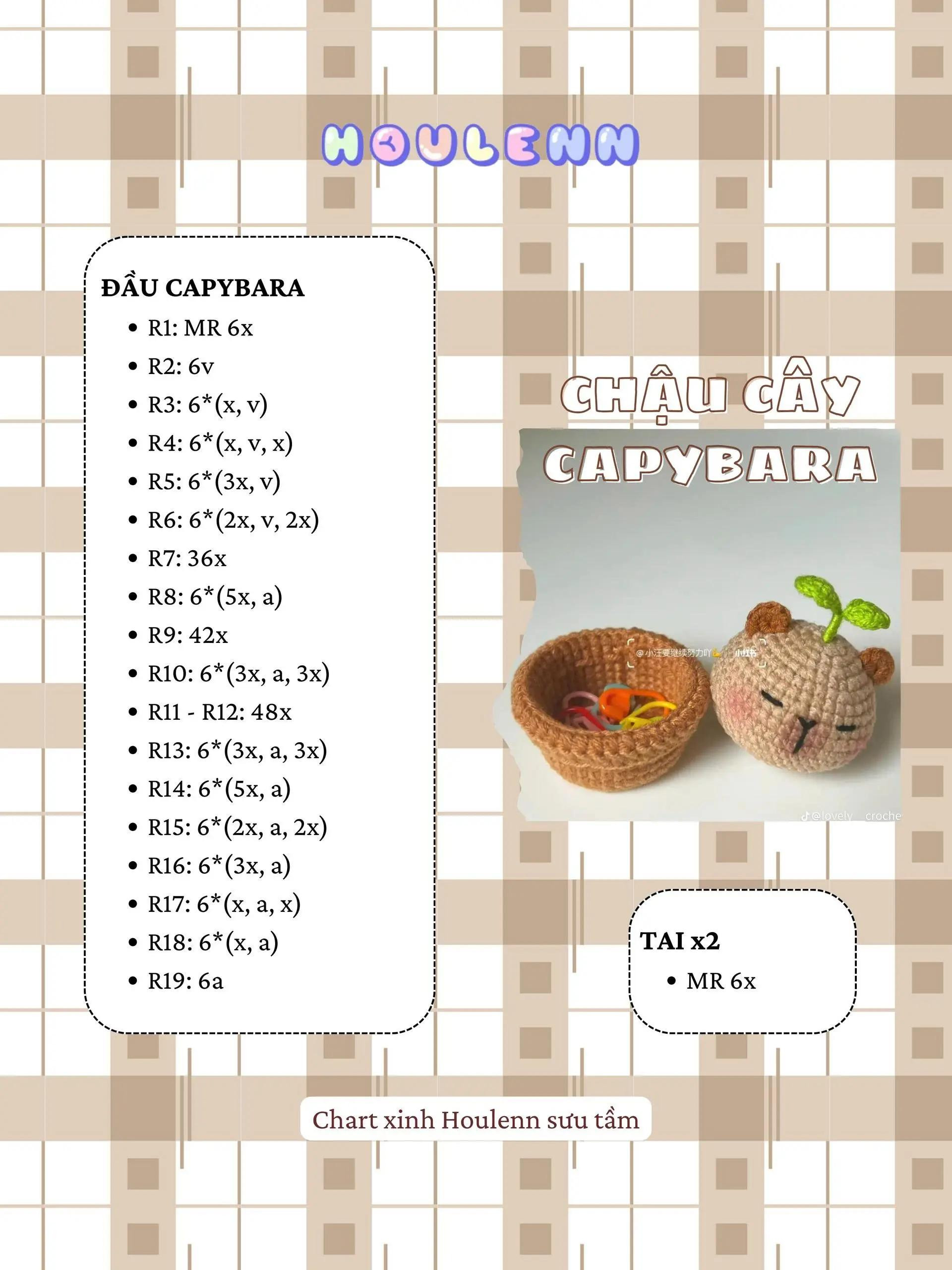 chậu cây capybara