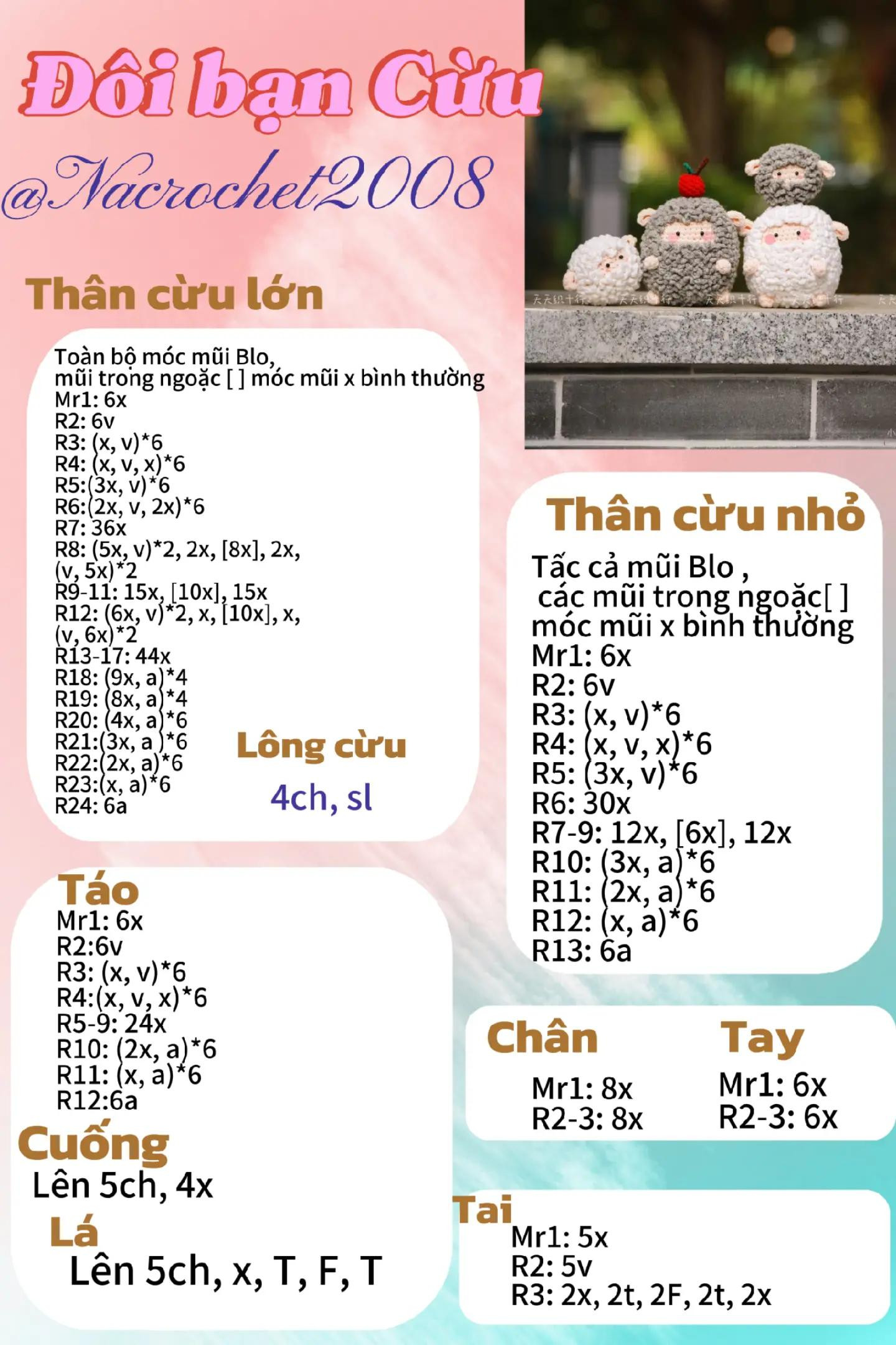 đôi bạn cừu