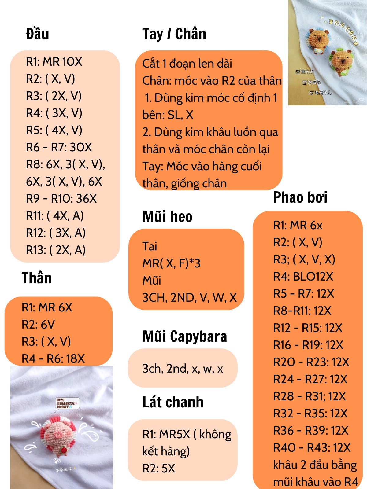 heo capybara đi bơi
