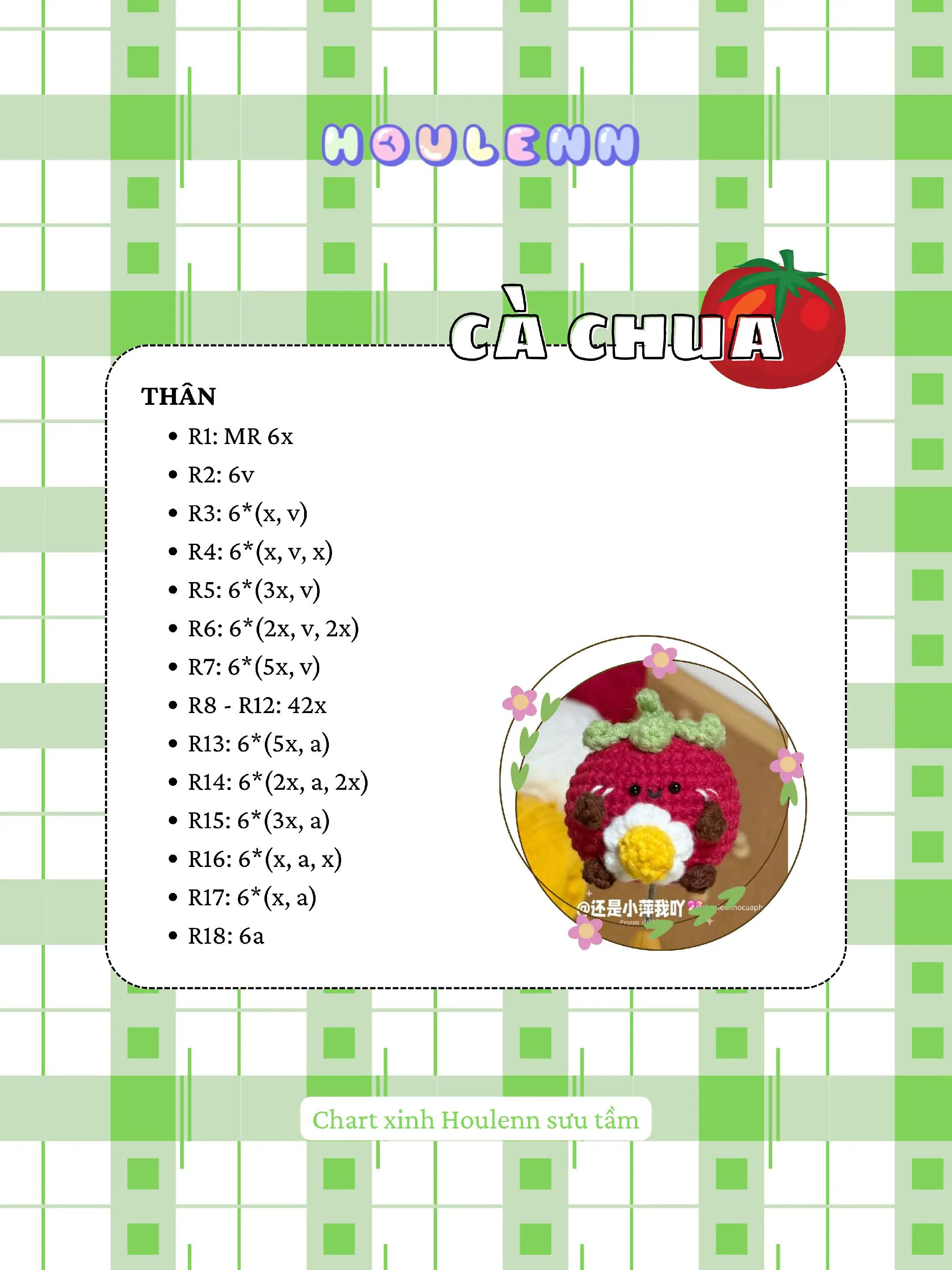Hướng dẫn móc len hình cà chua đáng yêu và dễ thương.