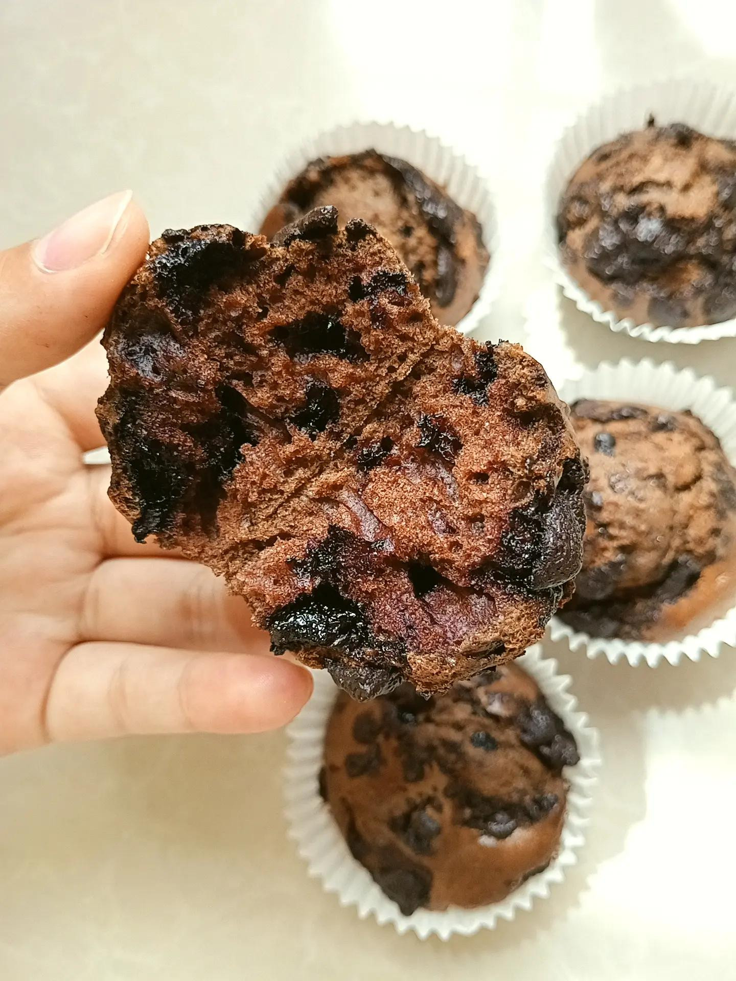 Muffin Socola🍫