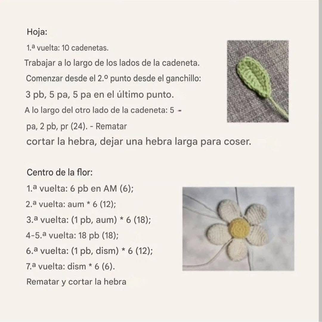Patrón de flor de crochet fácil y gratuito