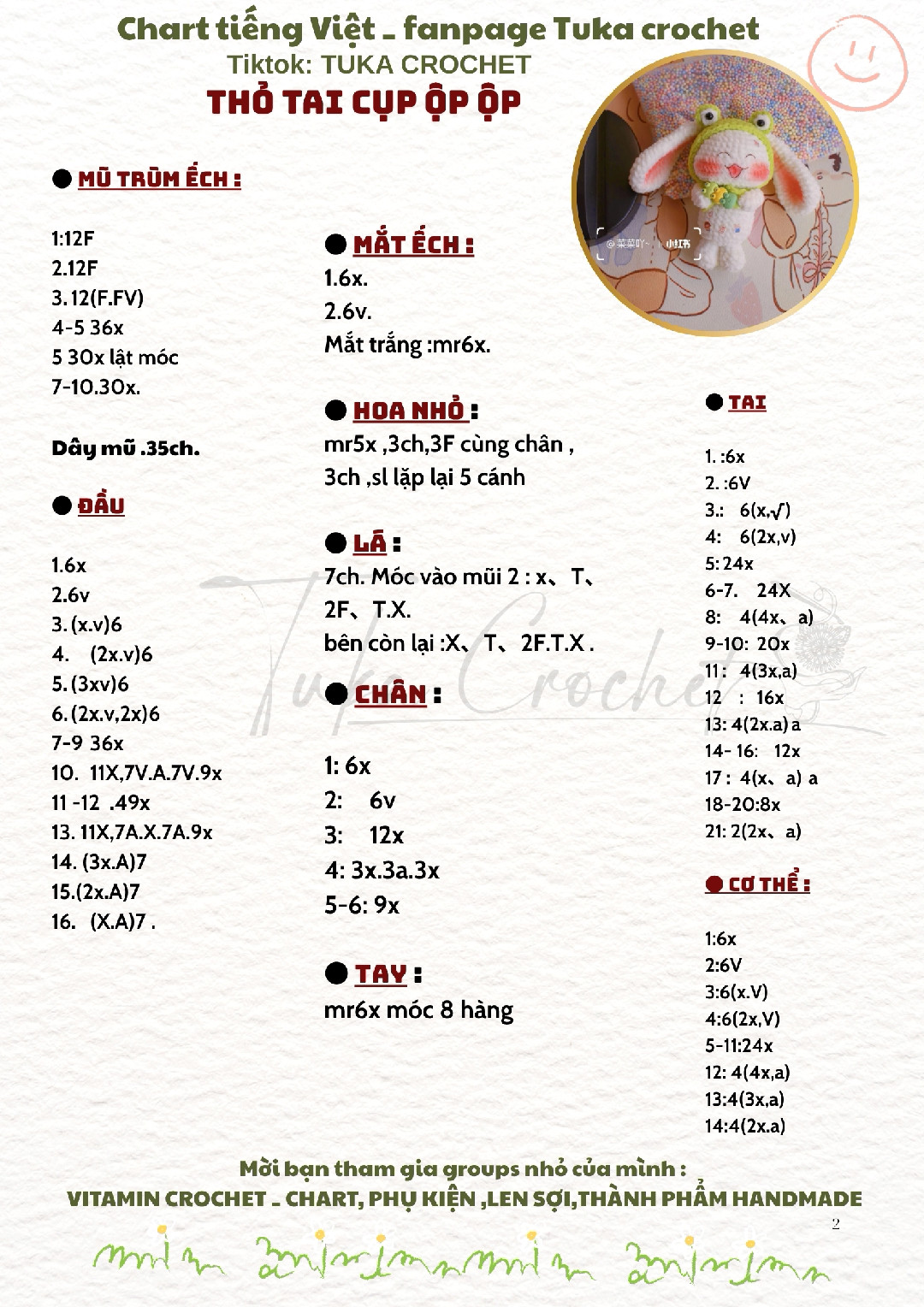 thỏ tai cụp ộp ộp