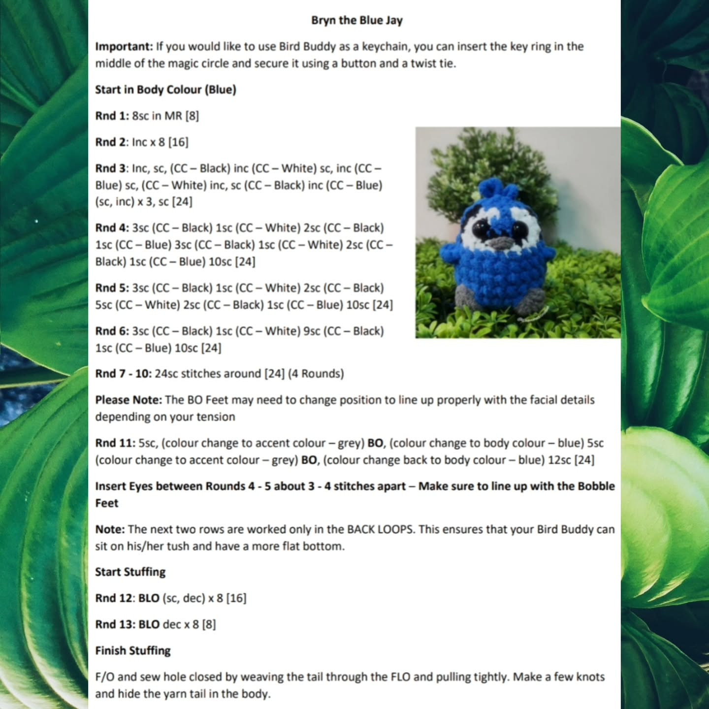 Adorable Blue Jay Crochet Pattern - No Sewing Required