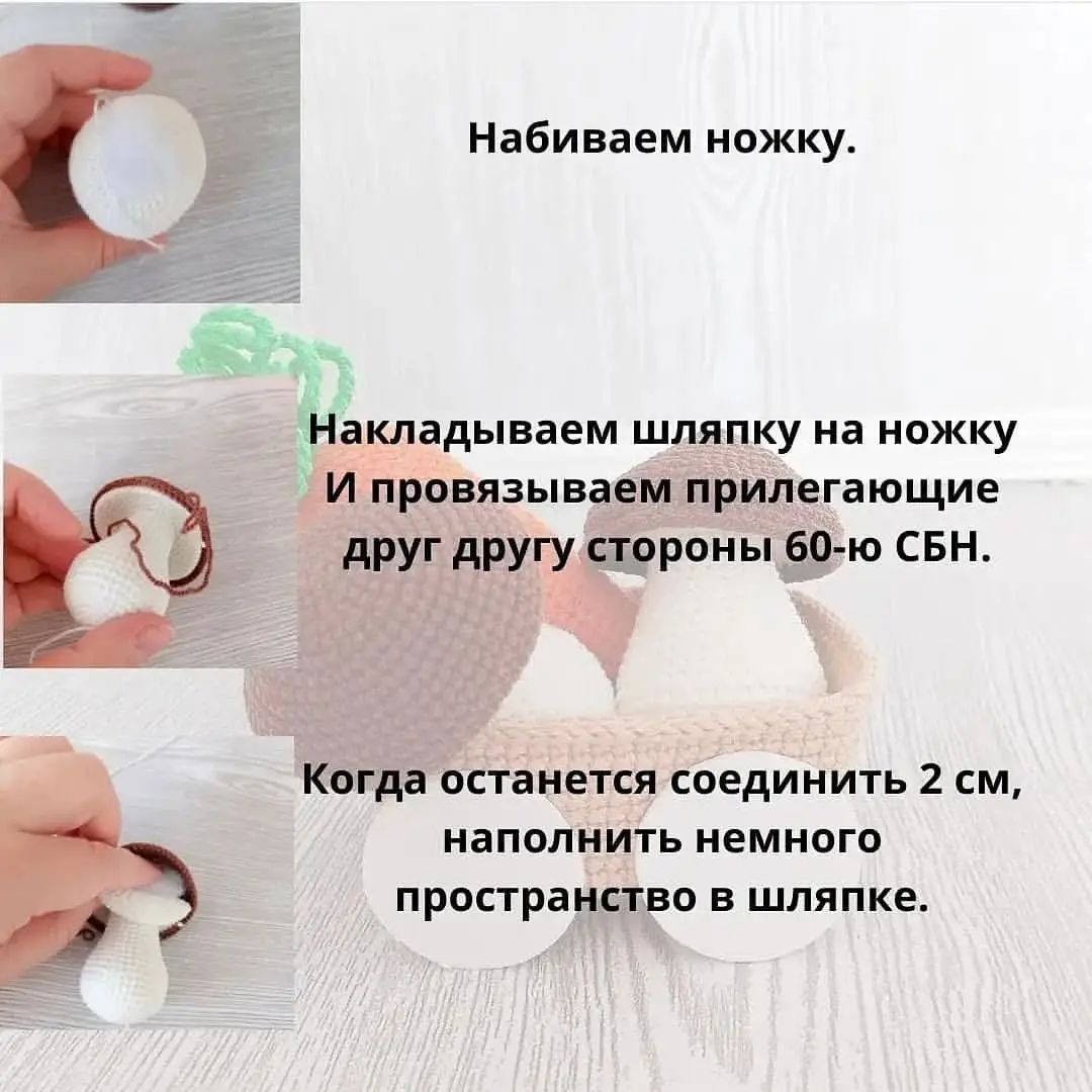 Бесплатное описание грибочка