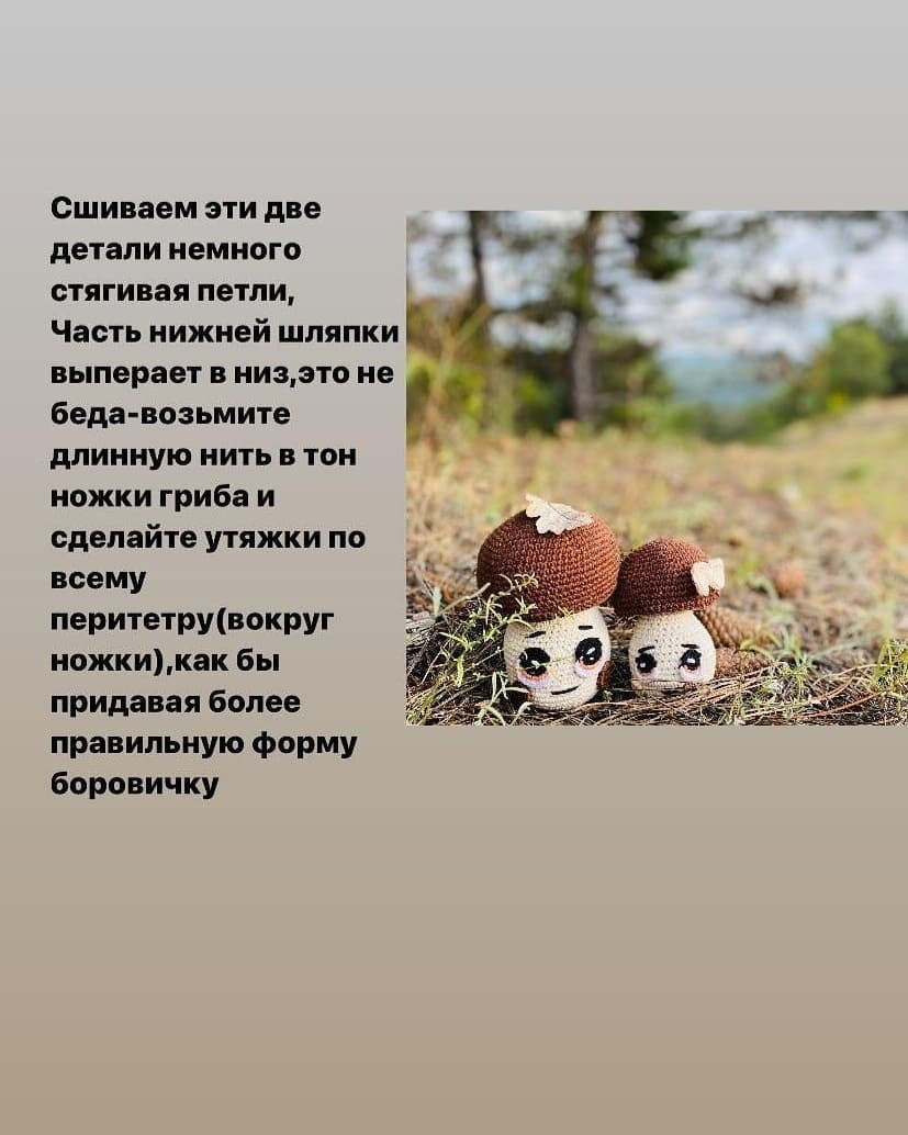 Бесплатный мастер-класс по вязанию грибочков крючком