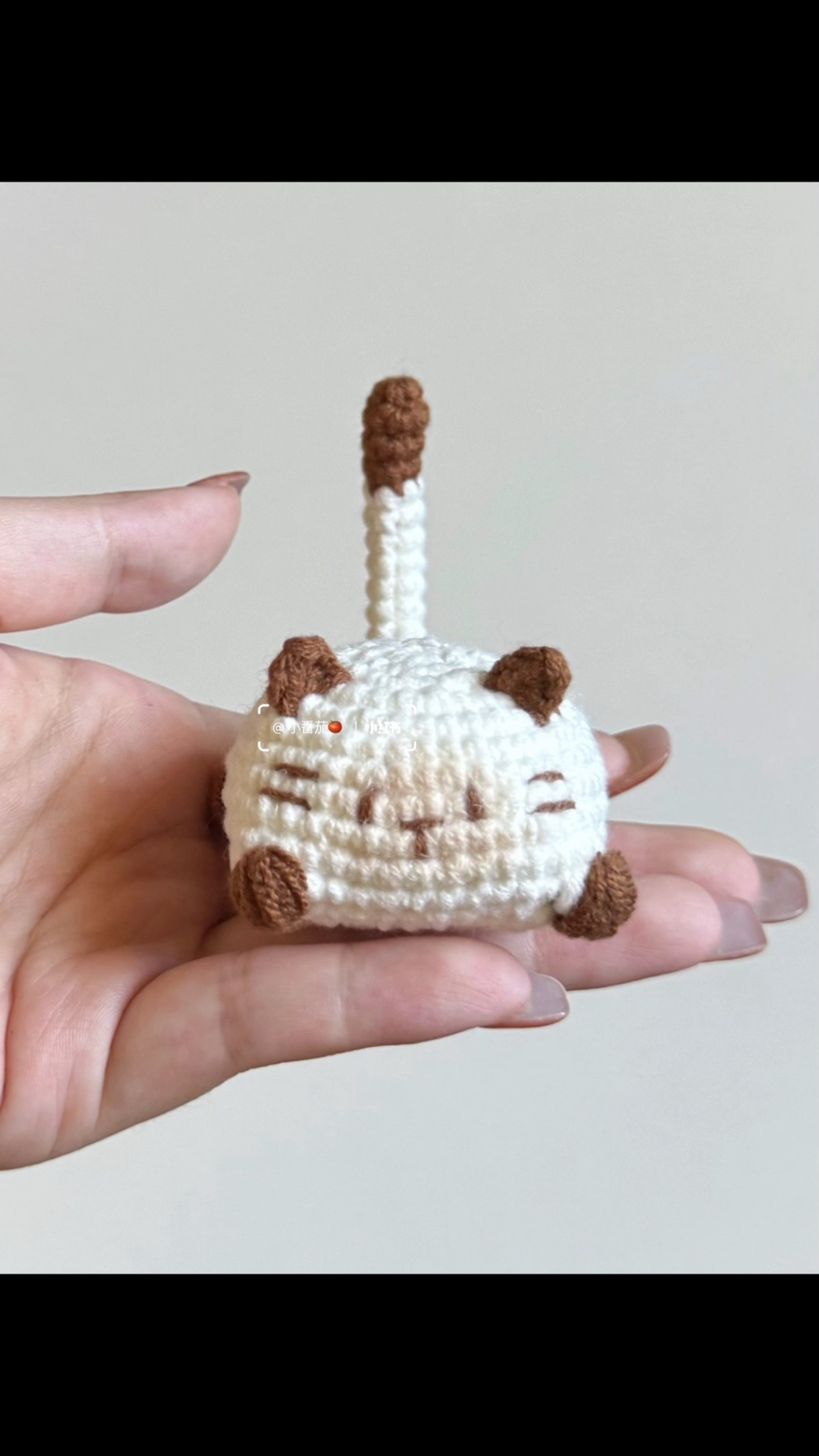 Chubby Cat Crochet Pattern for Cute Amigurumi