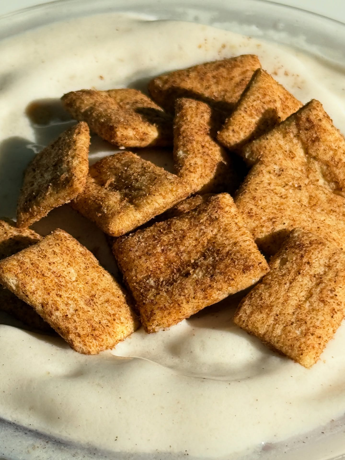 Cinnamon Protein Ice Cream with Crunchy Bites