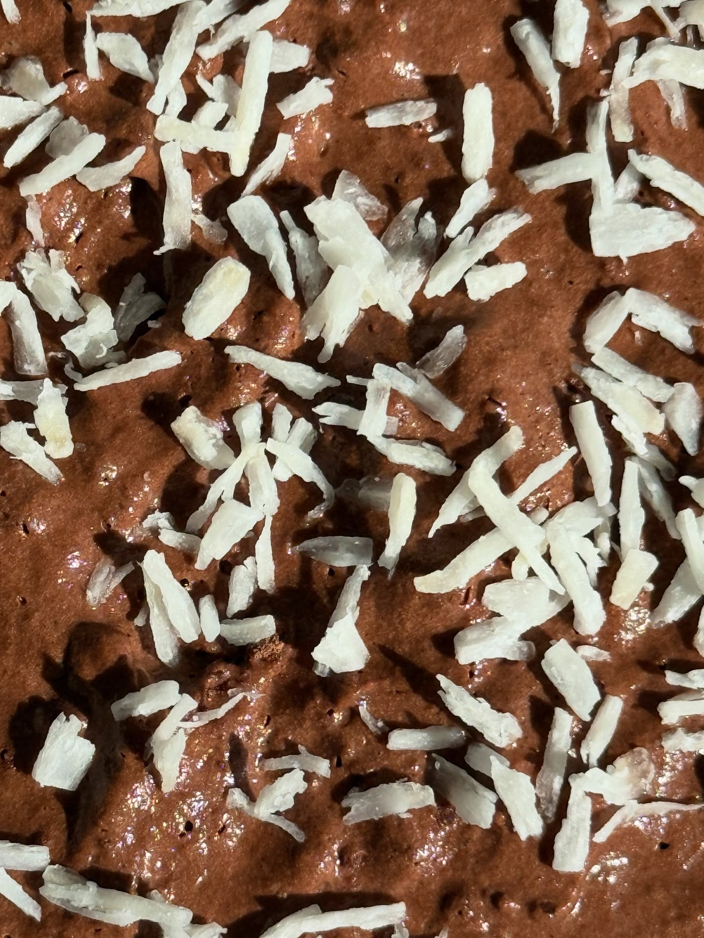 Coconut Chocolate Dream Overnight Oats