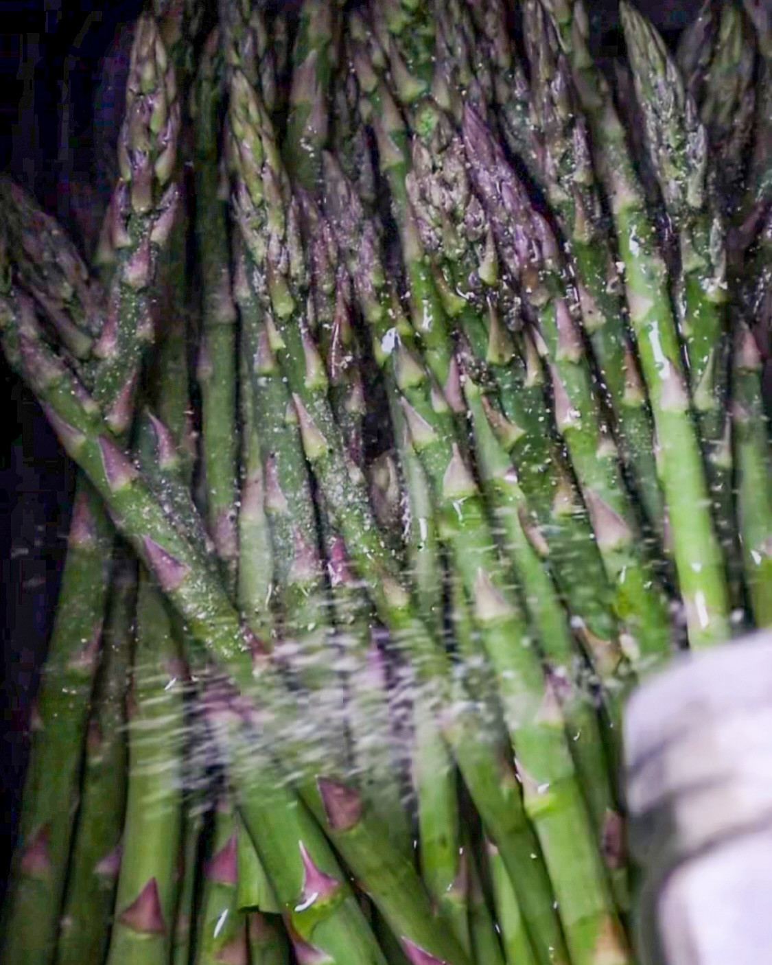 Crispy Air-Fried Asparagus with Parmesan Zest