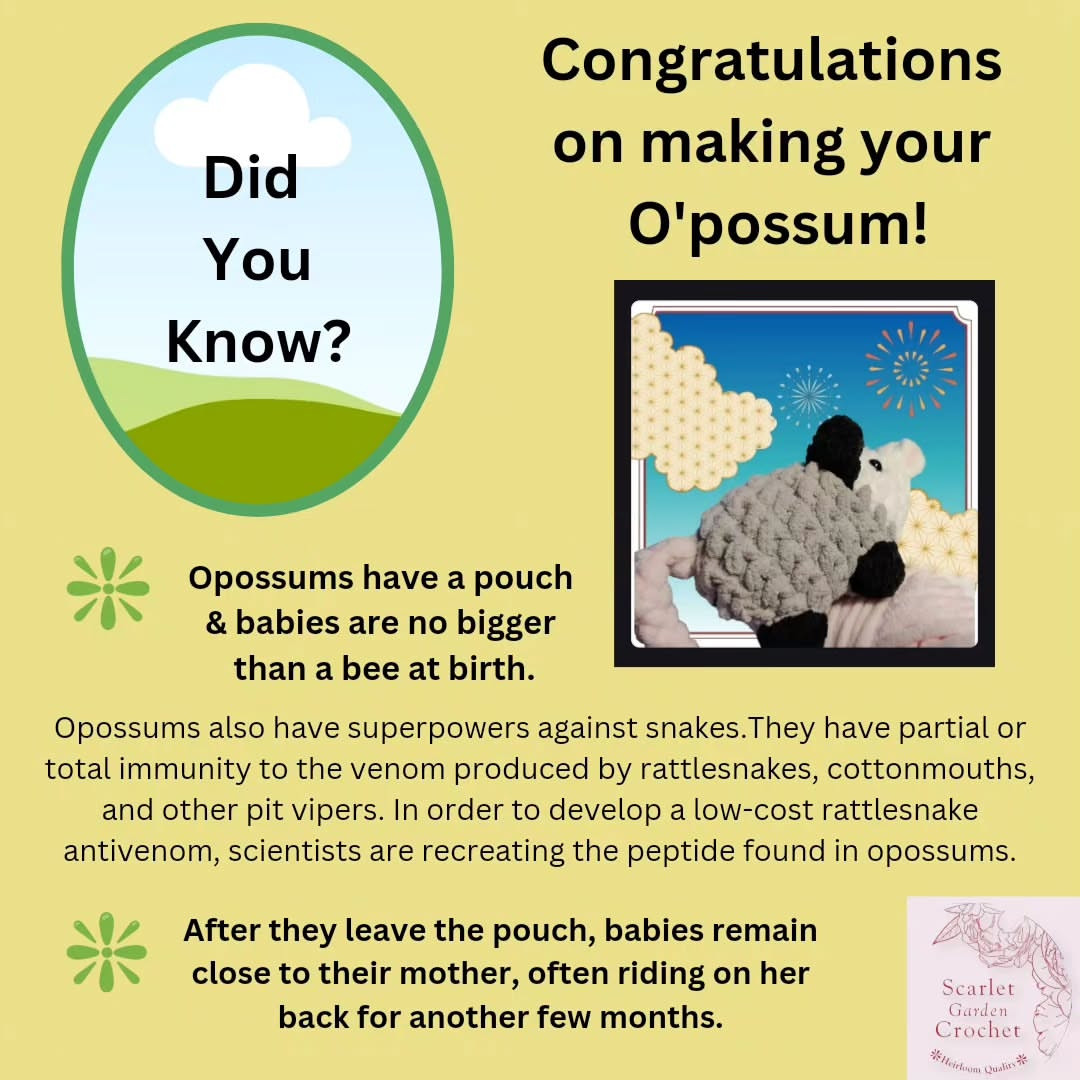 Crochet Cute Possum Pattern for Easy Crafting Fun