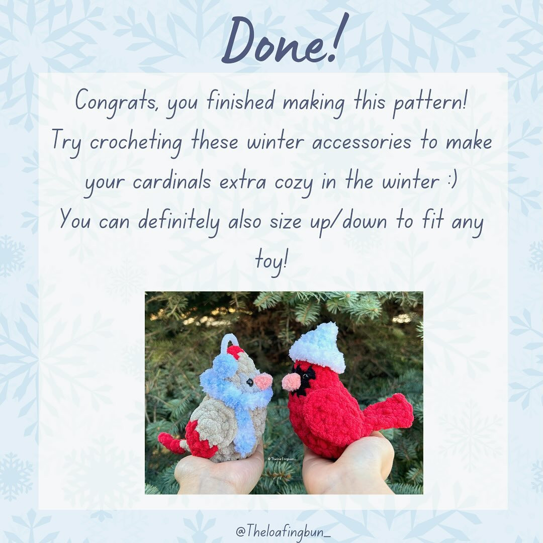 Crochet Cute Winter Bird Accessories Free Pattern
