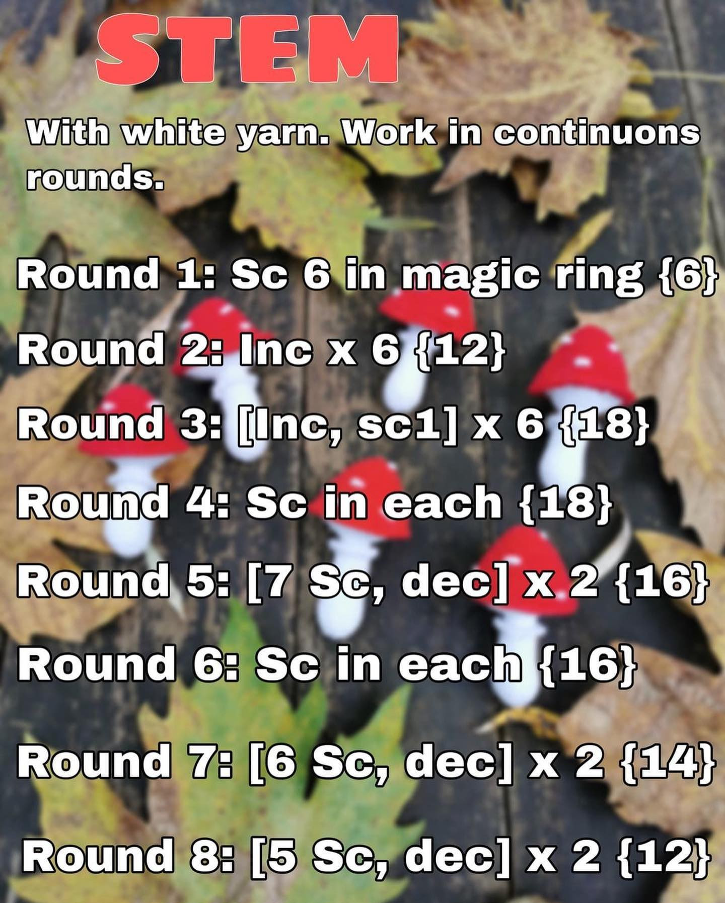 Crochet Mushroom Amigurumi Pattern for Beginners - Free and Easy