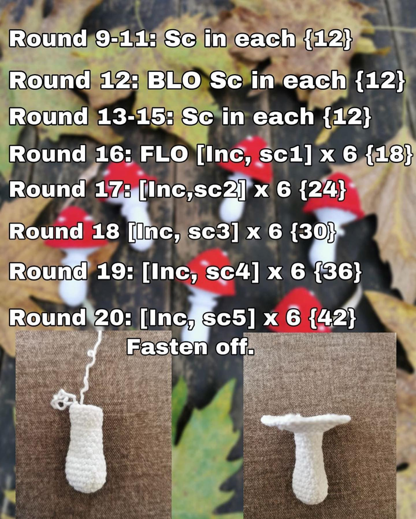 Crochet Mushroom Amigurumi Pattern for Beginners - Free and Easy