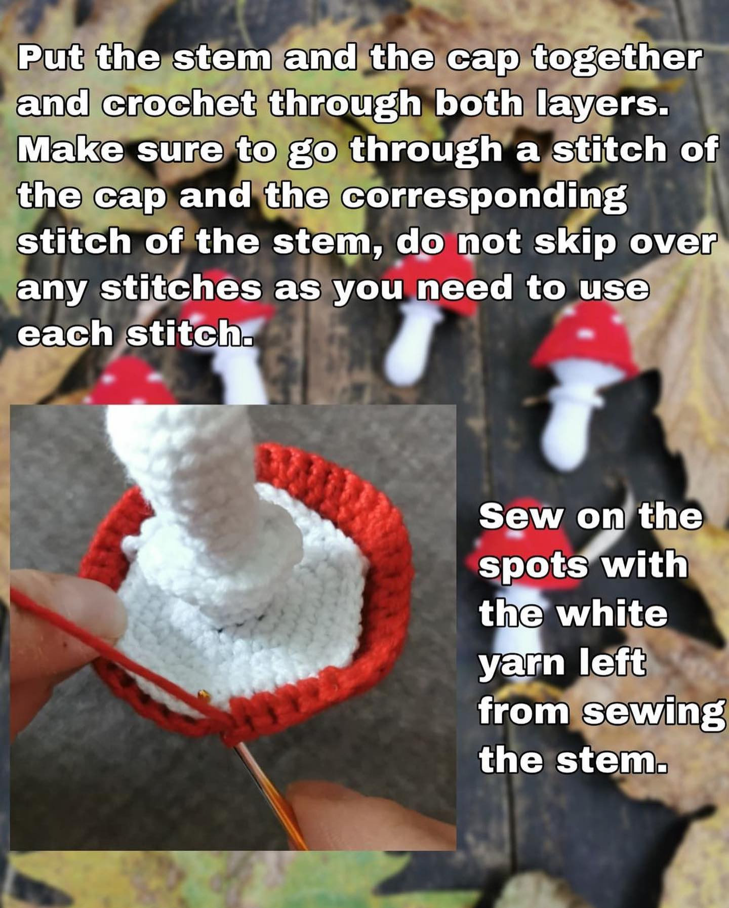 Crochet Mushroom Amigurumi Pattern for Beginners - Free and Easy