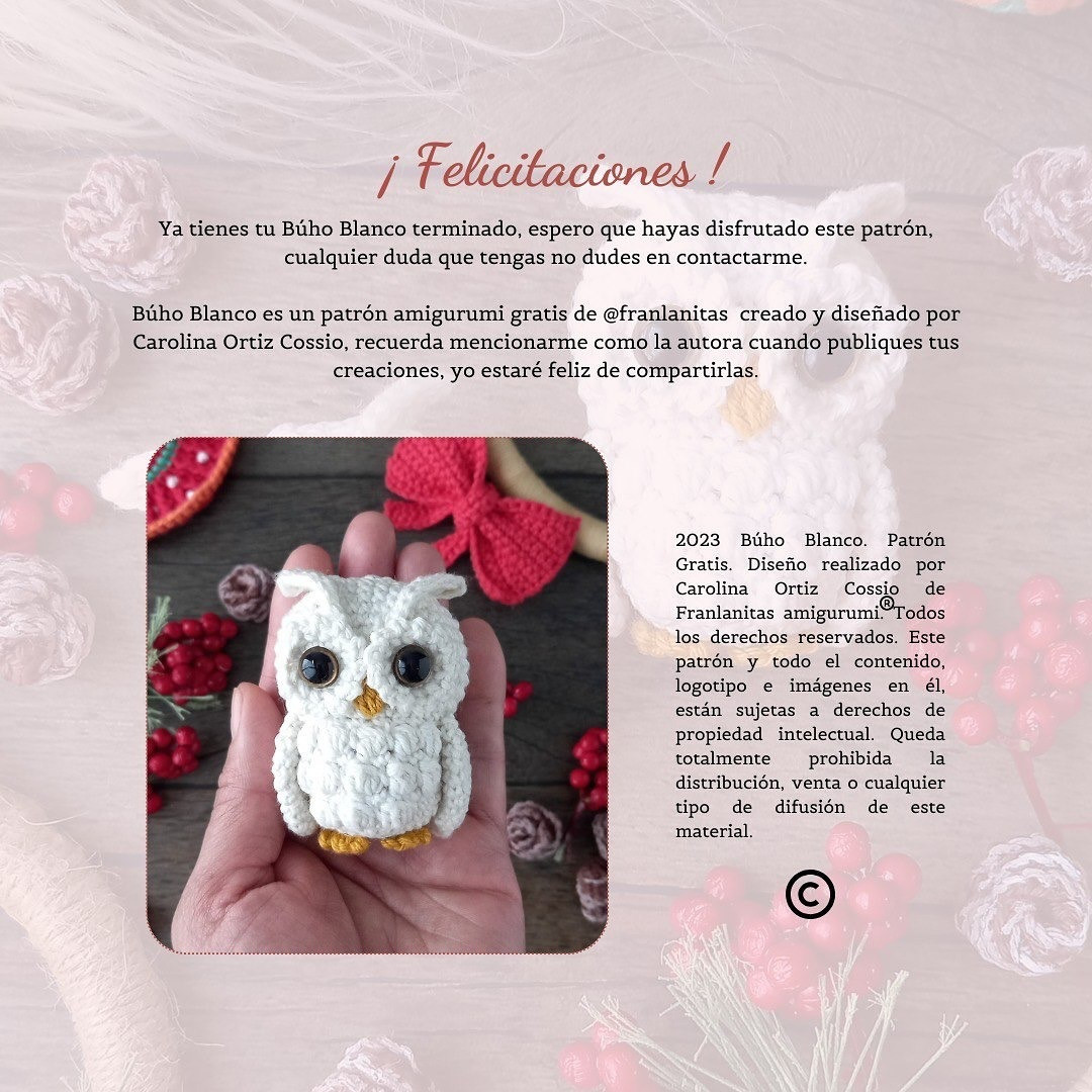 Crochet Pattern for Adorable White Owls - Free and Easy Guide