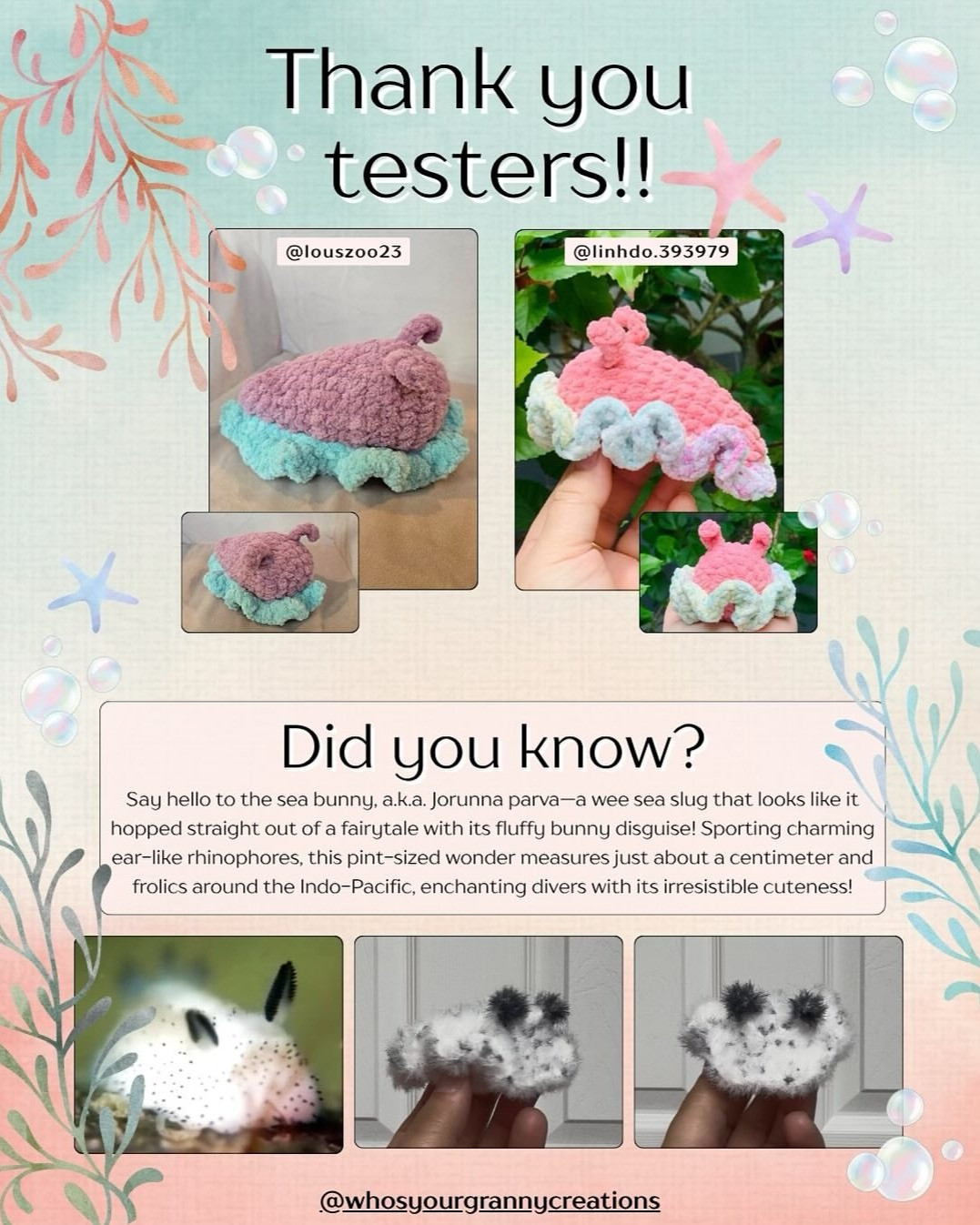 Crochet Pattern: Sammy the Sea Slug in Pastel Colors