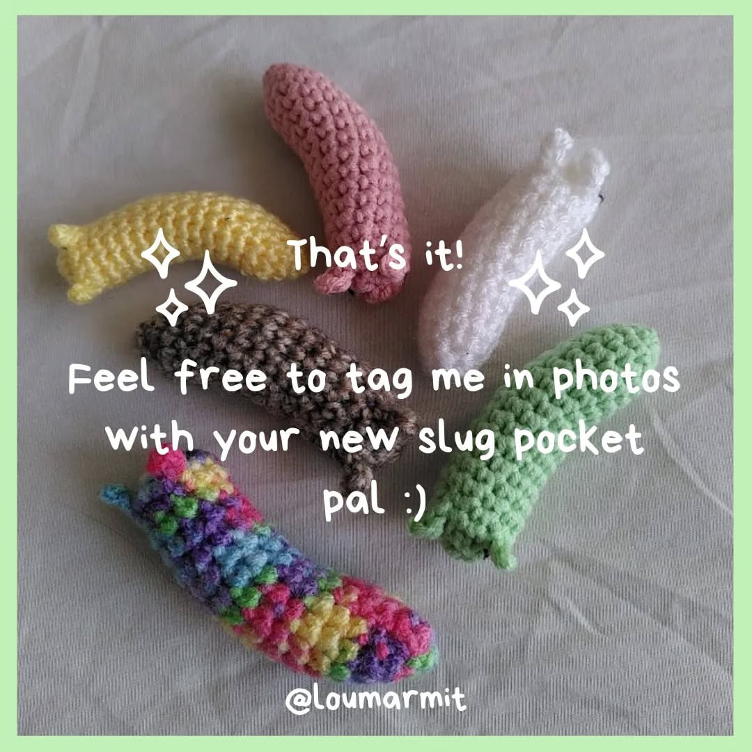 Crochet Slug Pocket Pal Pattern for Beginners - Free and Easy!
