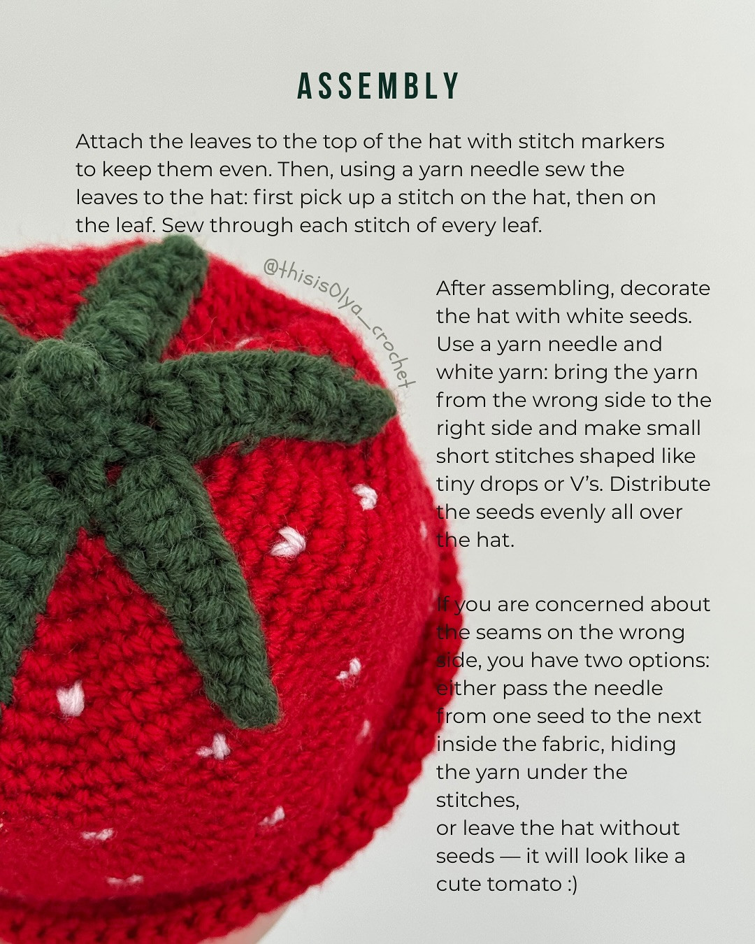 Crochet Strawberry Hat Pattern for Beginners - Free and Easy