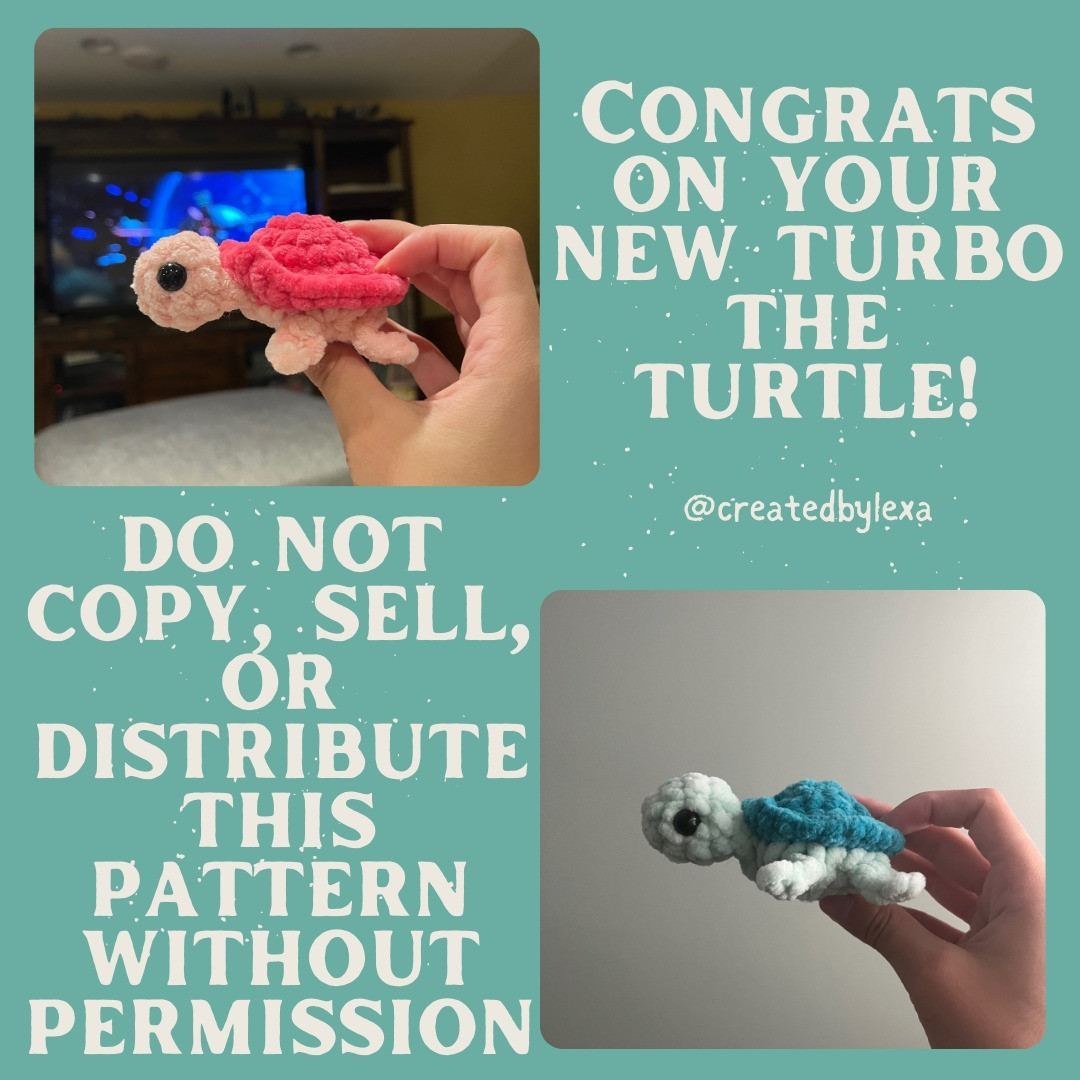 Free Turbo the Turtle Crochet Pattern Download Available