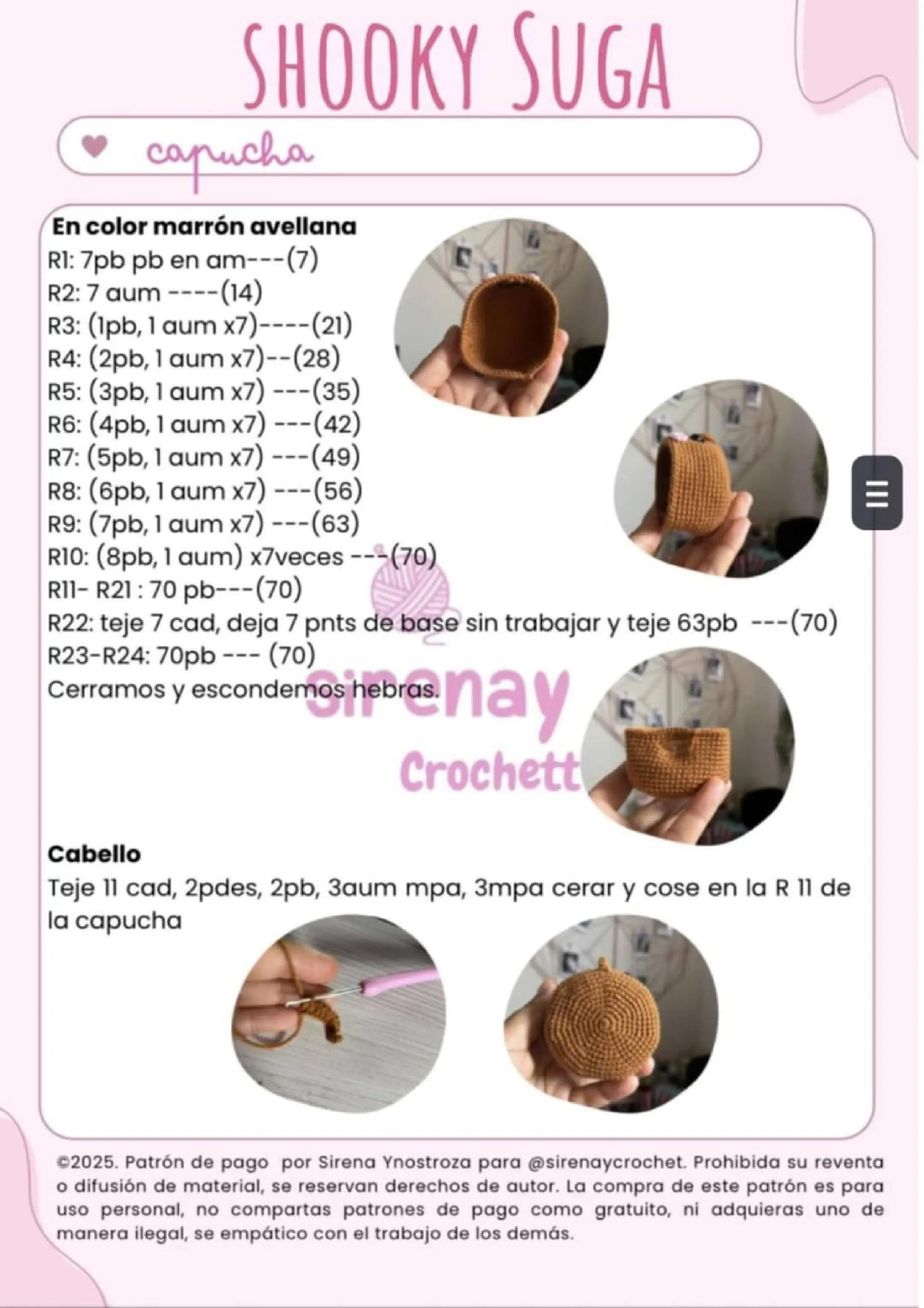 Patrón de amigurumi de muñeco con capucha marrón y pelo azul