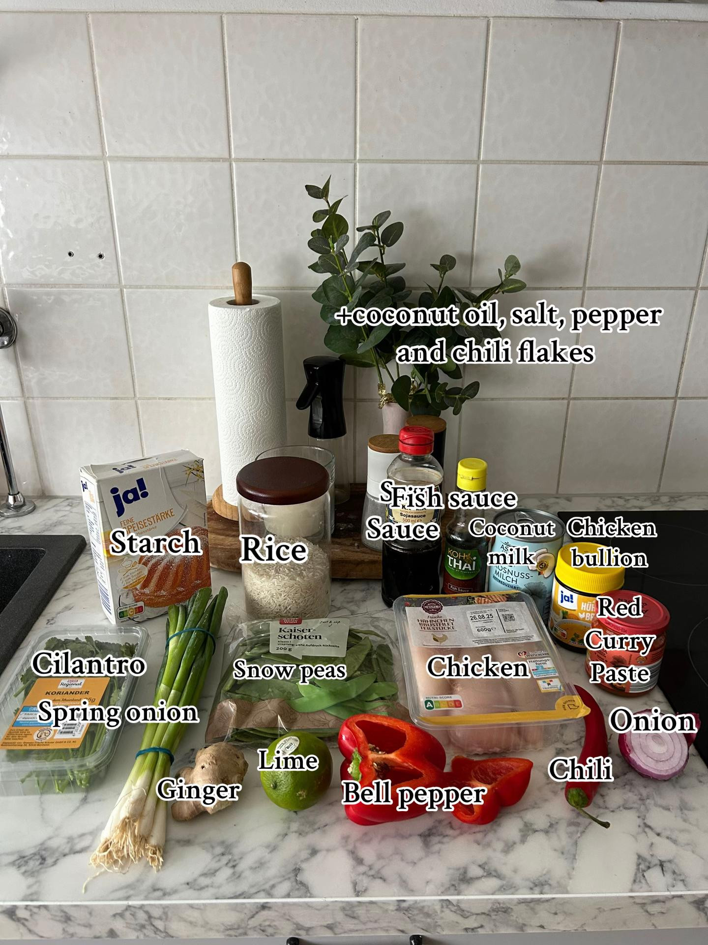 Red Thai curry & rice