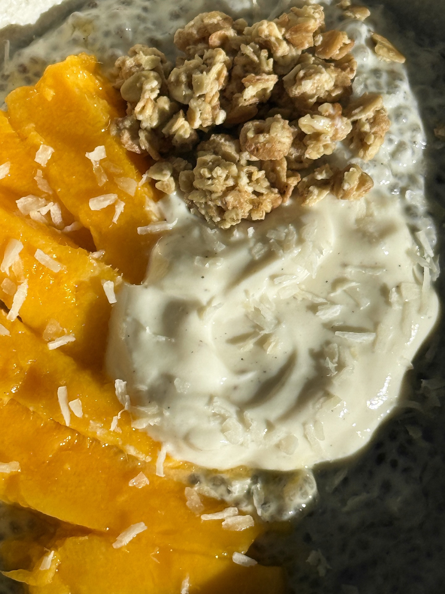 Tropical Mango Coconut Chia Pudding Delight